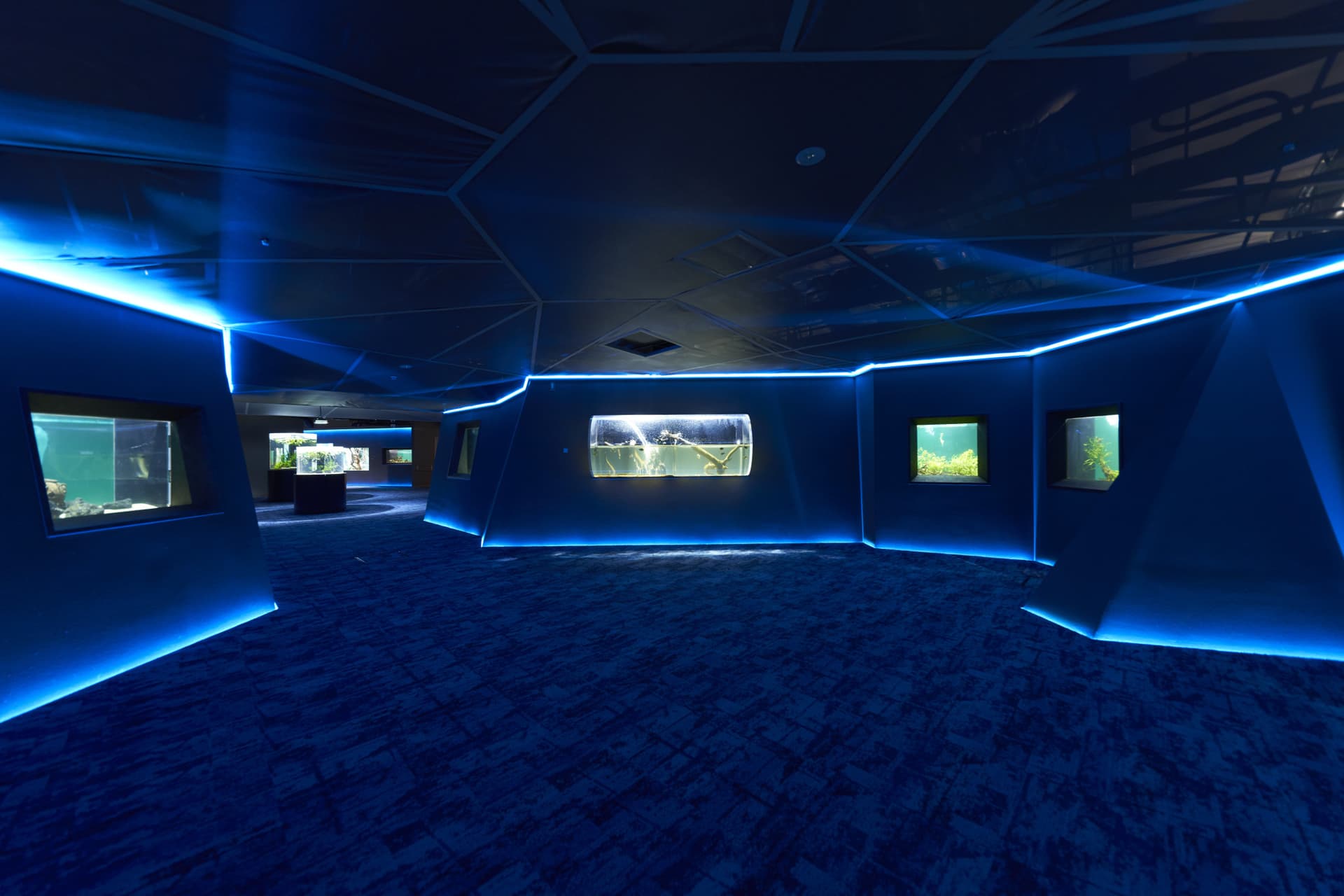 Kawasaki Aquarium Ticket - სურათი 12