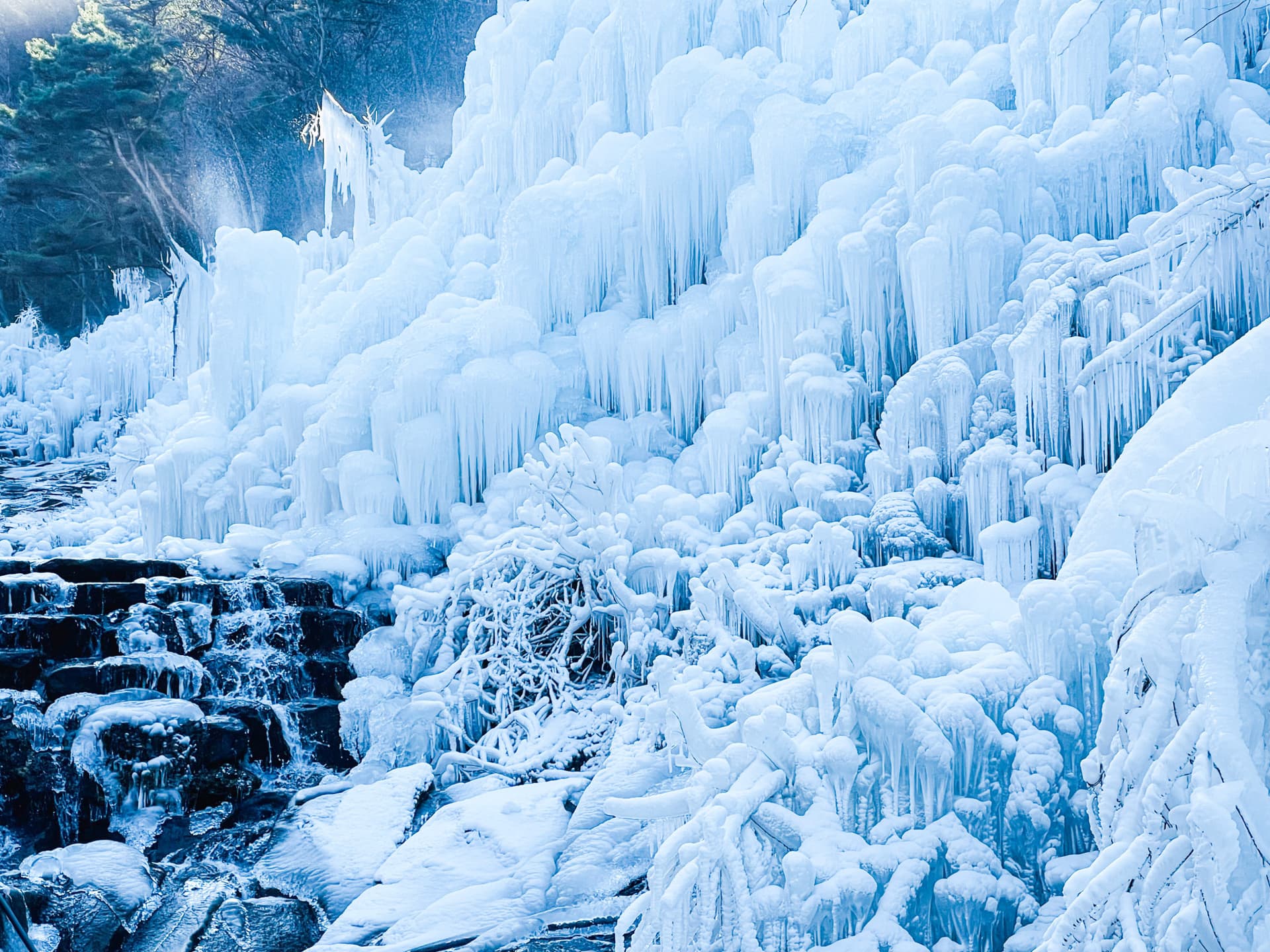 Gyeongju Kookmin Healing Park, Daegu Seomun Market, Songhae Park Ice Wall Full-Day Tour from Busan - სურათი 10