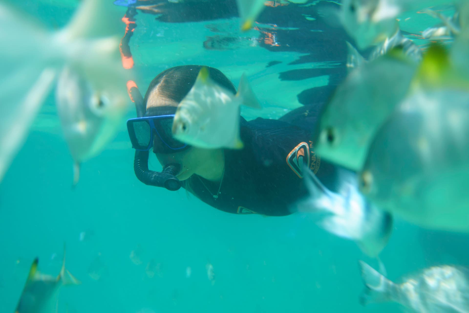 Moreton Island 1-Day Adventure Tour with Kayaking and Sandboarding - სურათი 17