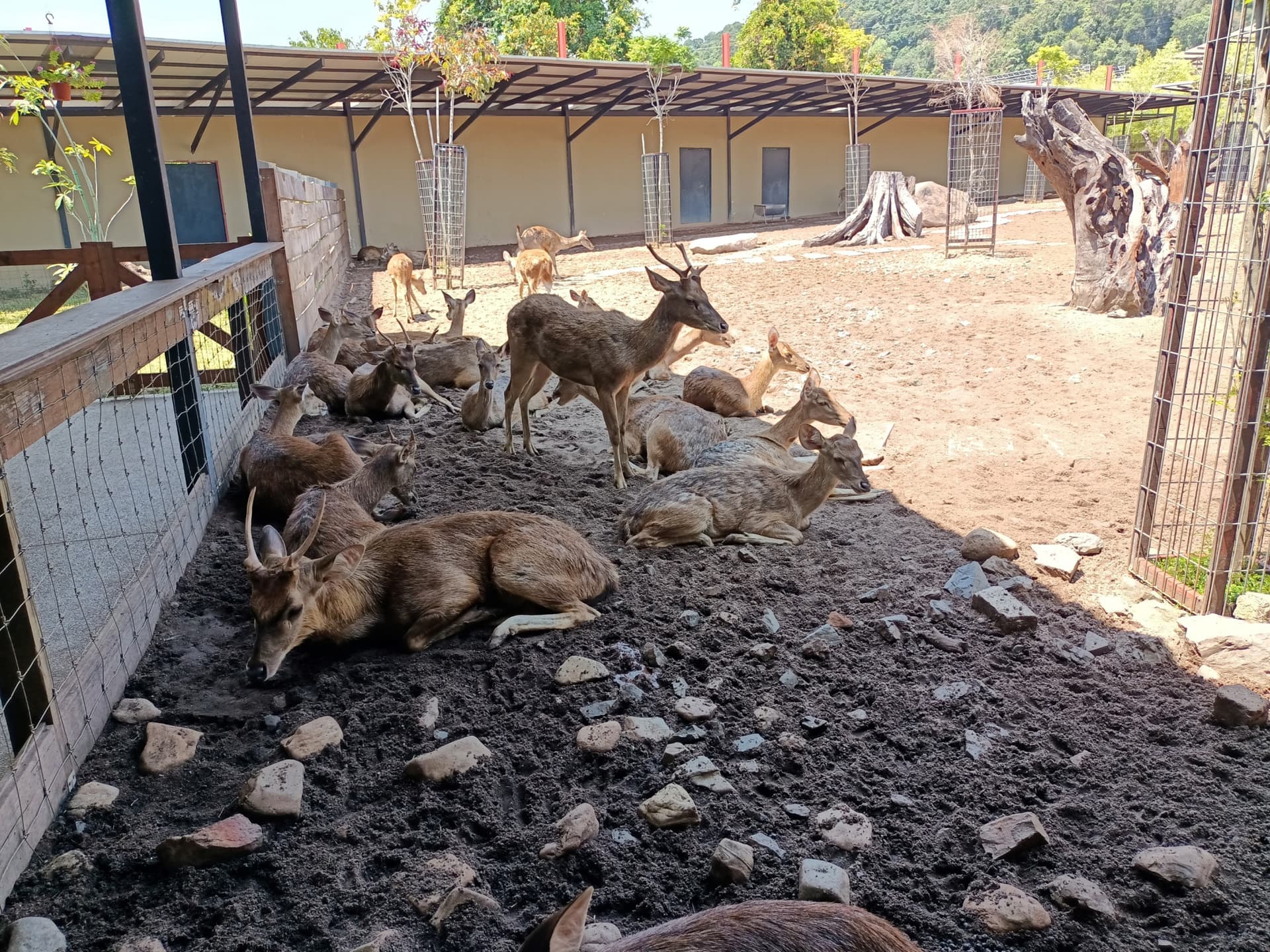 Langkawi Wildlife Park - მთავარი სურათი