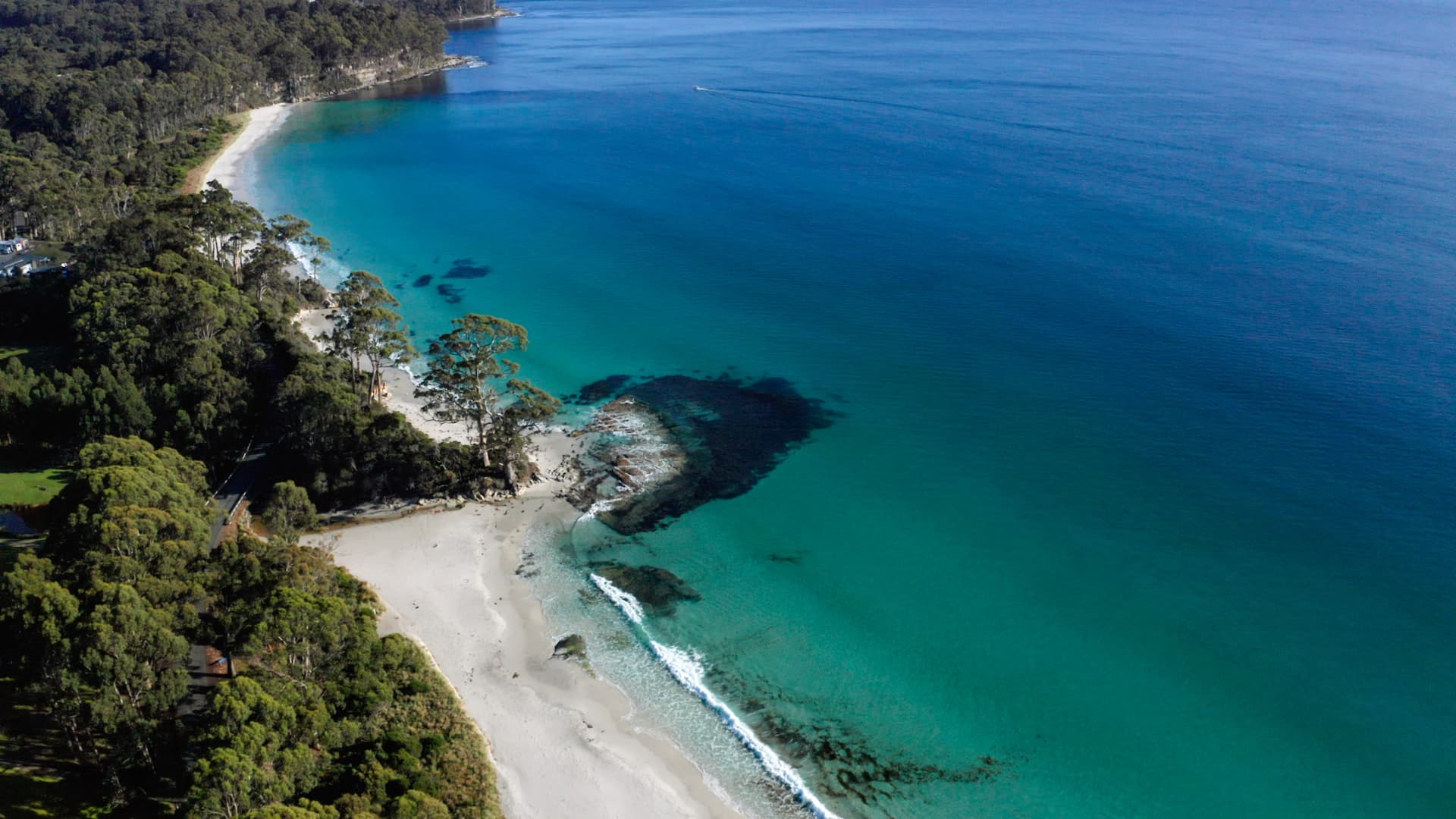 From Hobart | Bruny Island Food, Sightseeing and Lighthouse Tour - სურათი 2