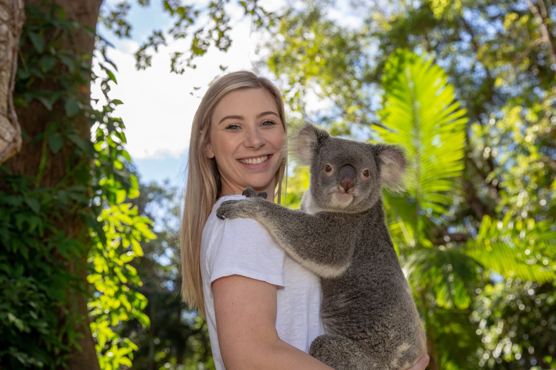 Currumbin Wildlife Sanctuary Gold Coast Ticket - სურათი 2