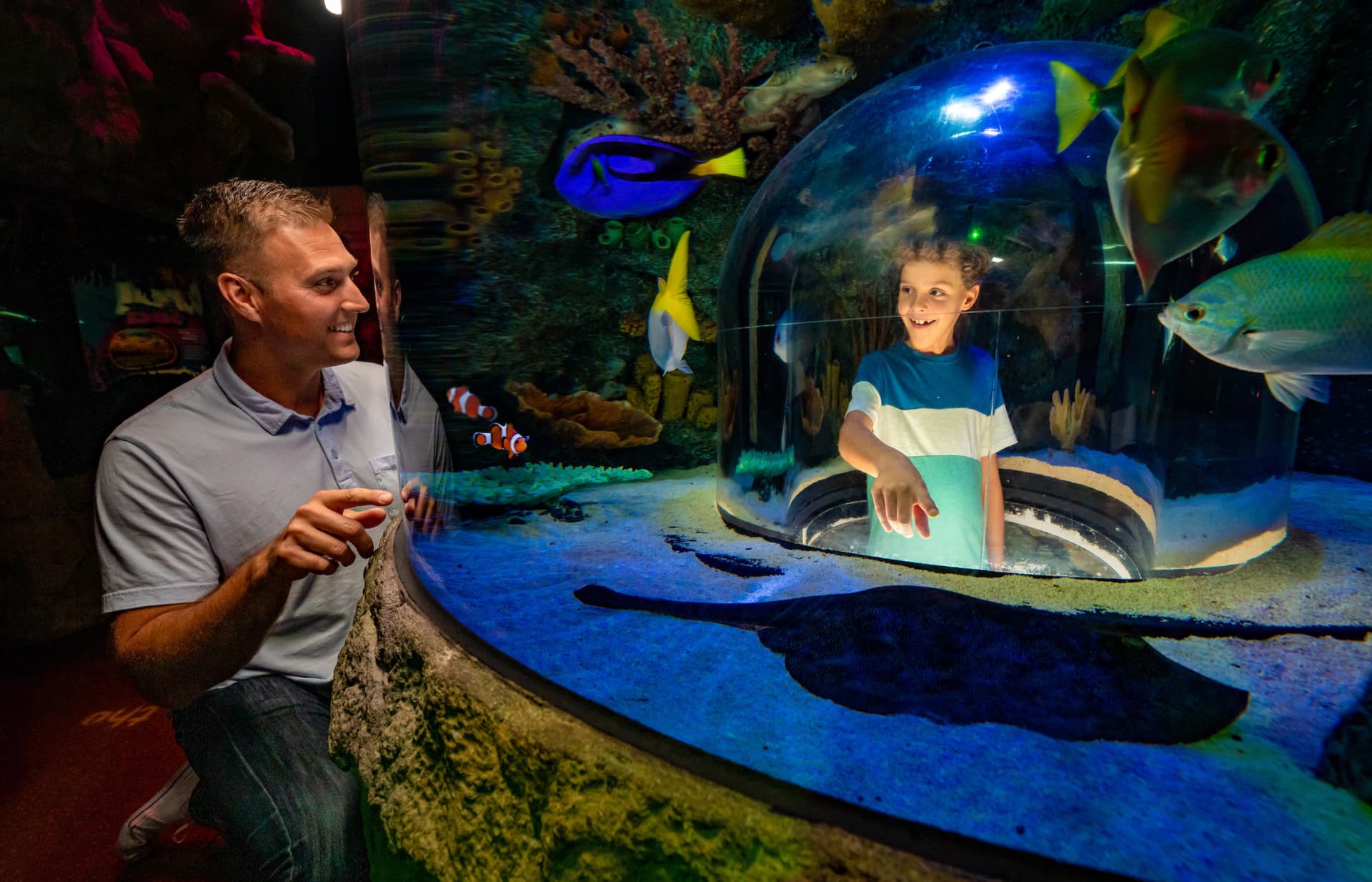 SEA LIFE Orlando Aquarium Ticket - სურათი 5