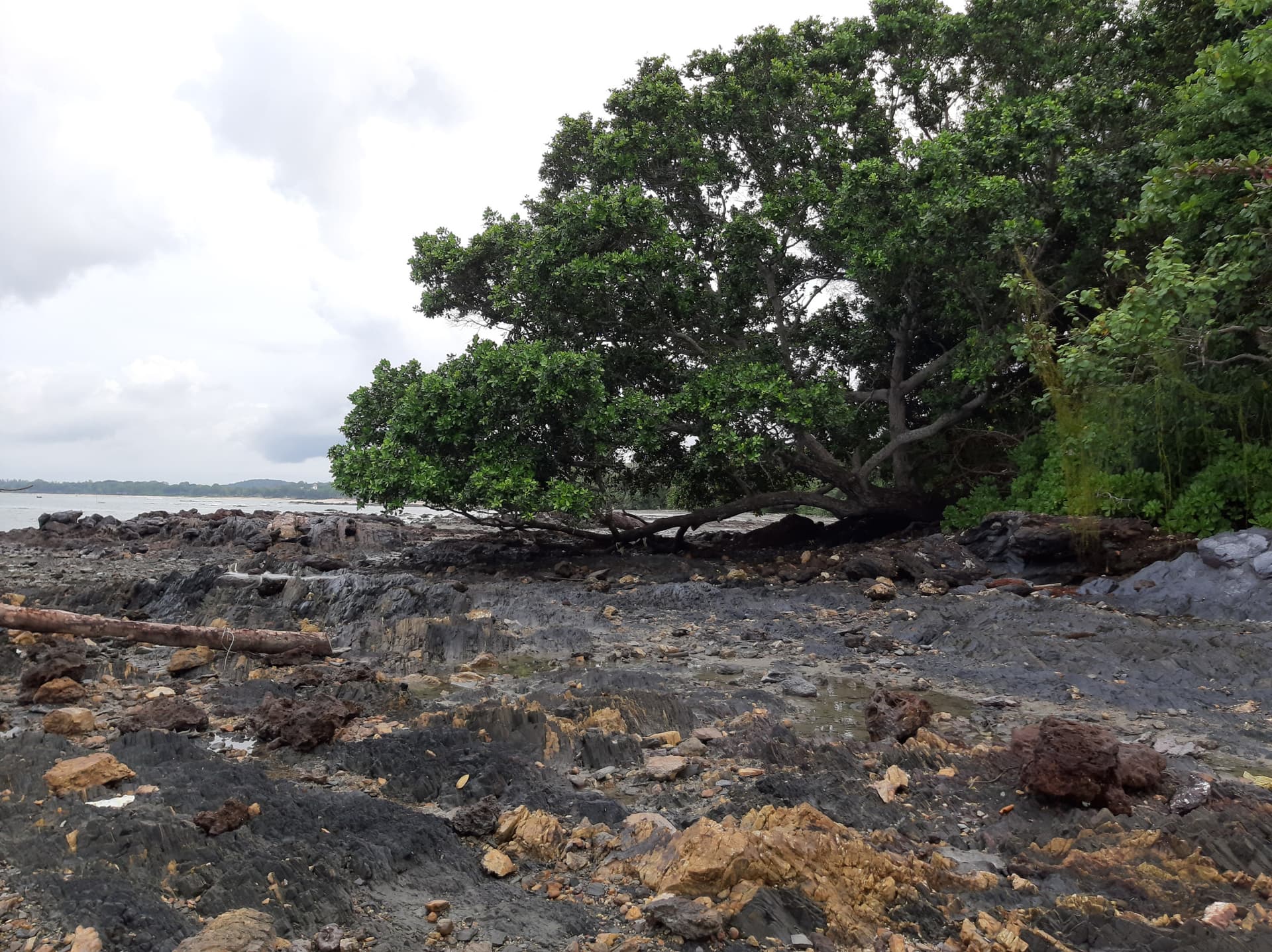 Desaru Beach and Tide Pool Walk - სურათი 17