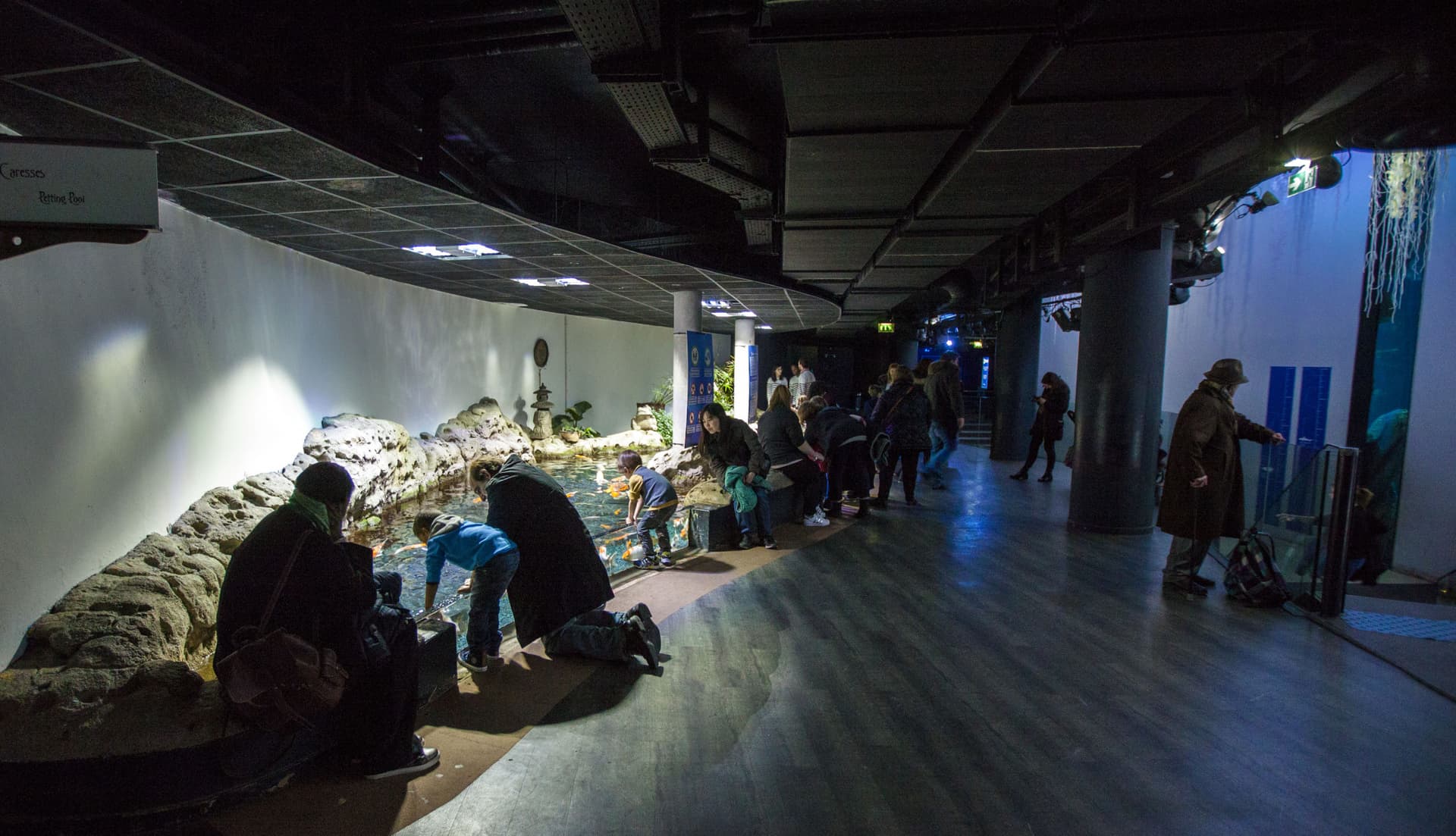 Aquarium de Paris - სურათი 5