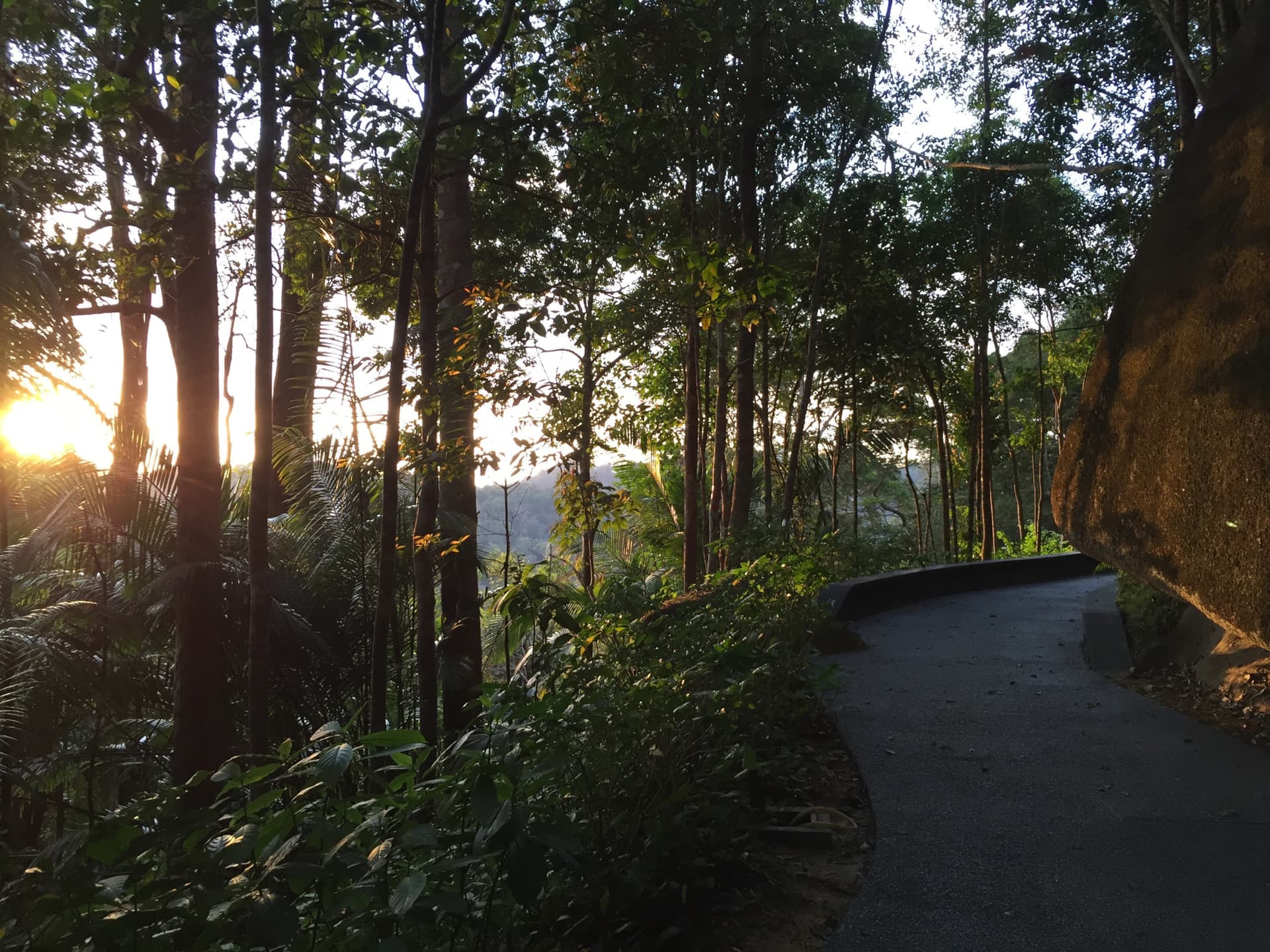 The Habitat Penang Hill Ticket - სურათი 14