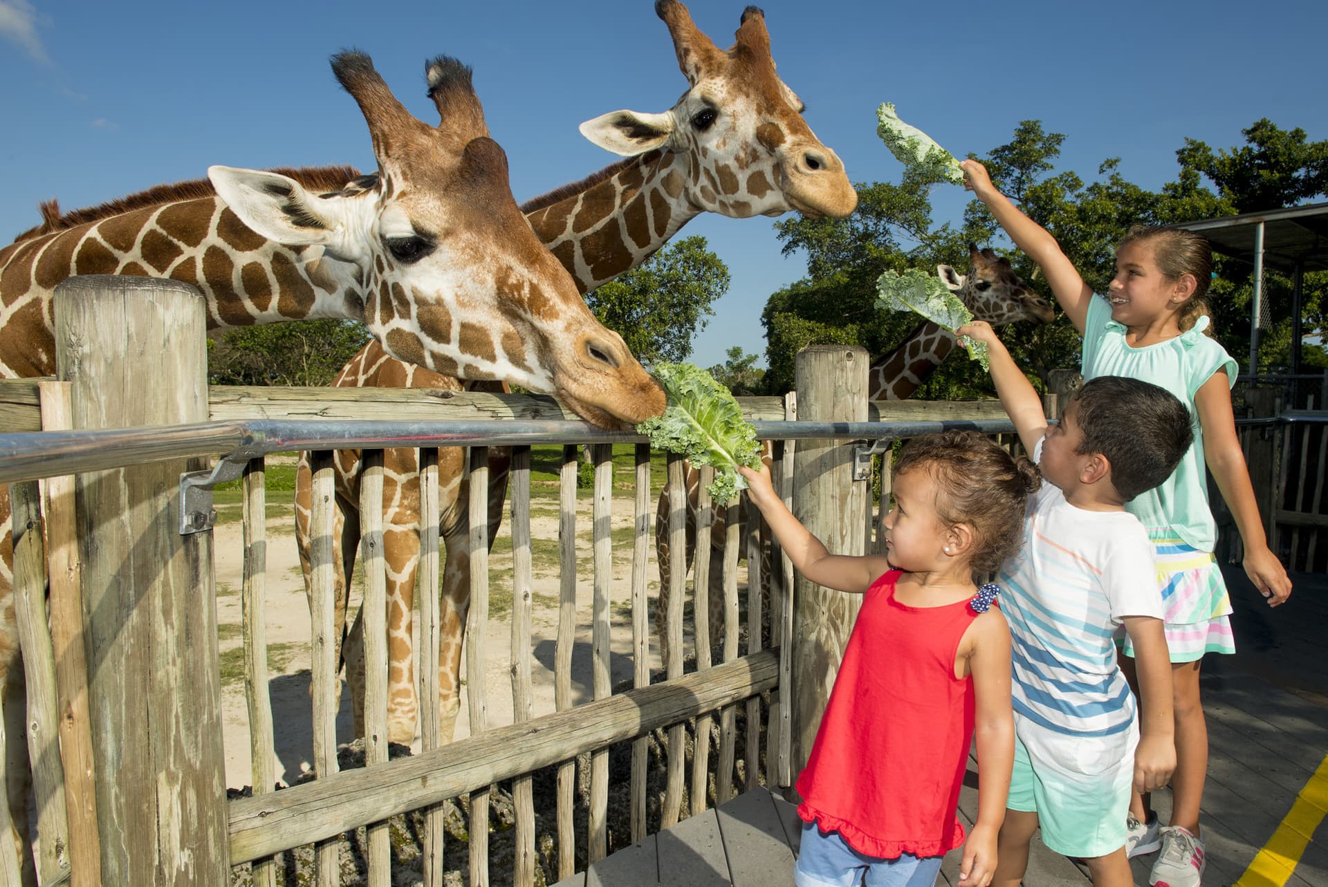 Go City Miami Explorer Pass: Save up to 50% on Attractions - სურათი 27