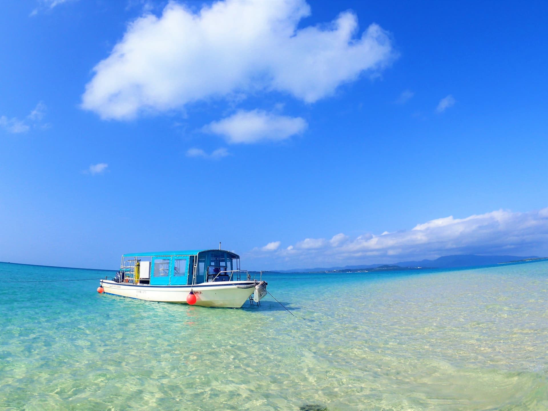 Half-Day Morning Snorkeling Tour with Phantom Island Visit - სურათი 2