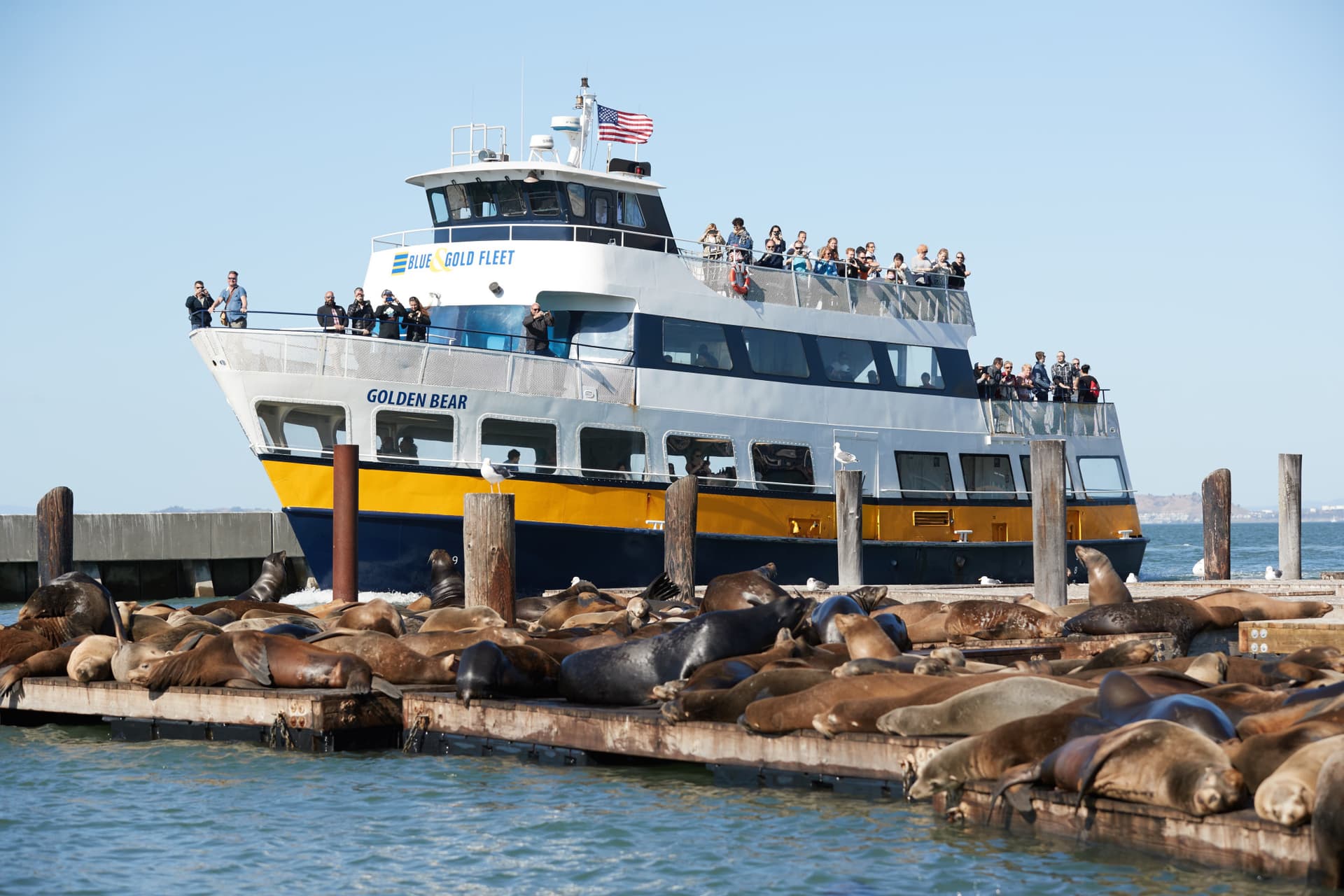 Go City San Francisco All-Inclusive Pass: Save up to 50% on Attractions - სურათი 25