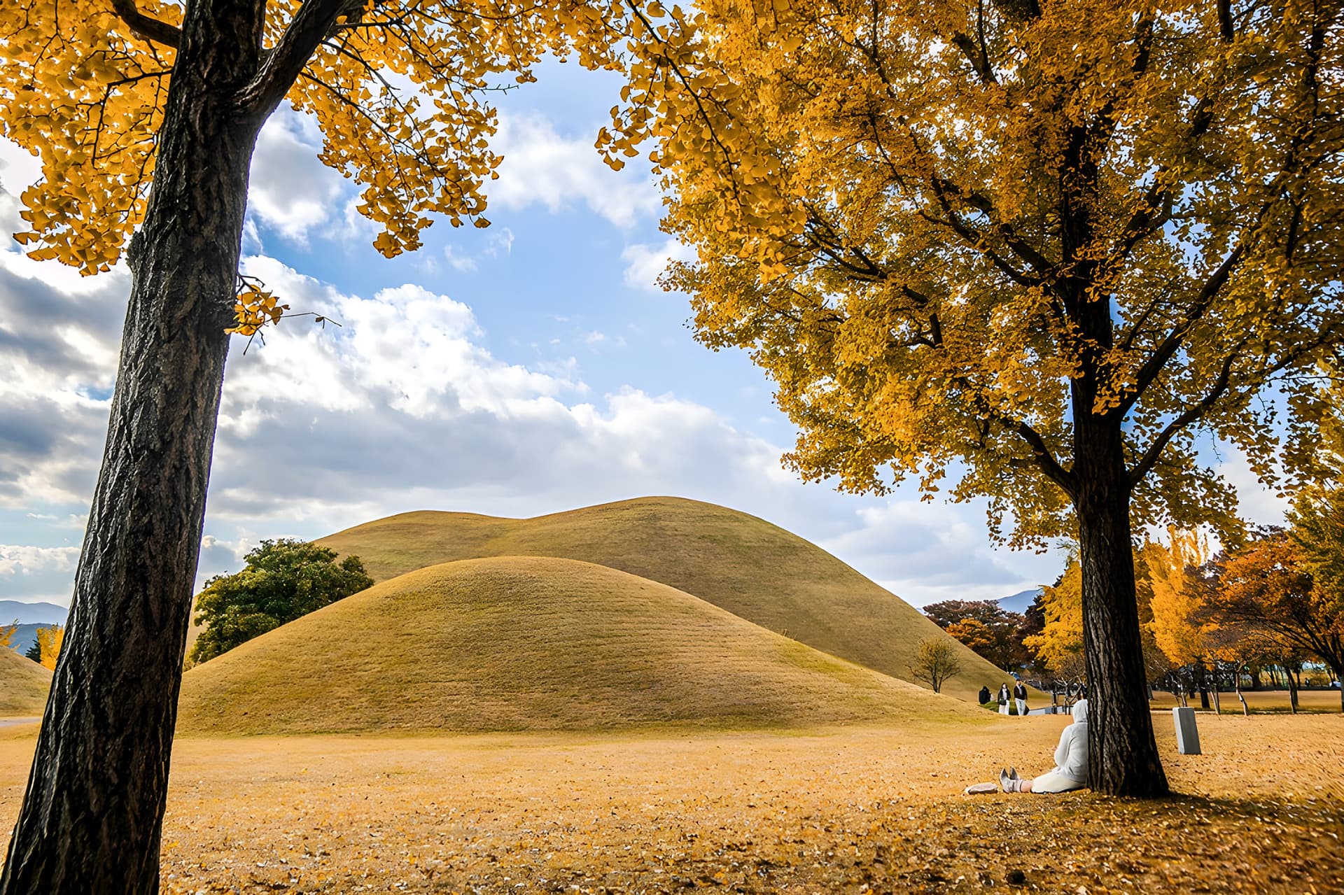 Gyeongju Autumn Foliage One Day Tour from Busan - სურათი 5