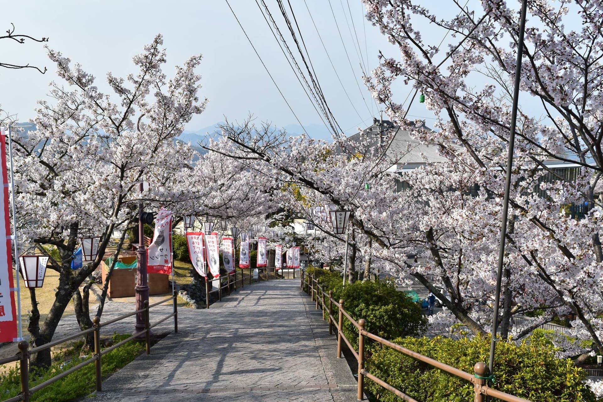 Mt. Senkoji Ropeway - სურათი 7