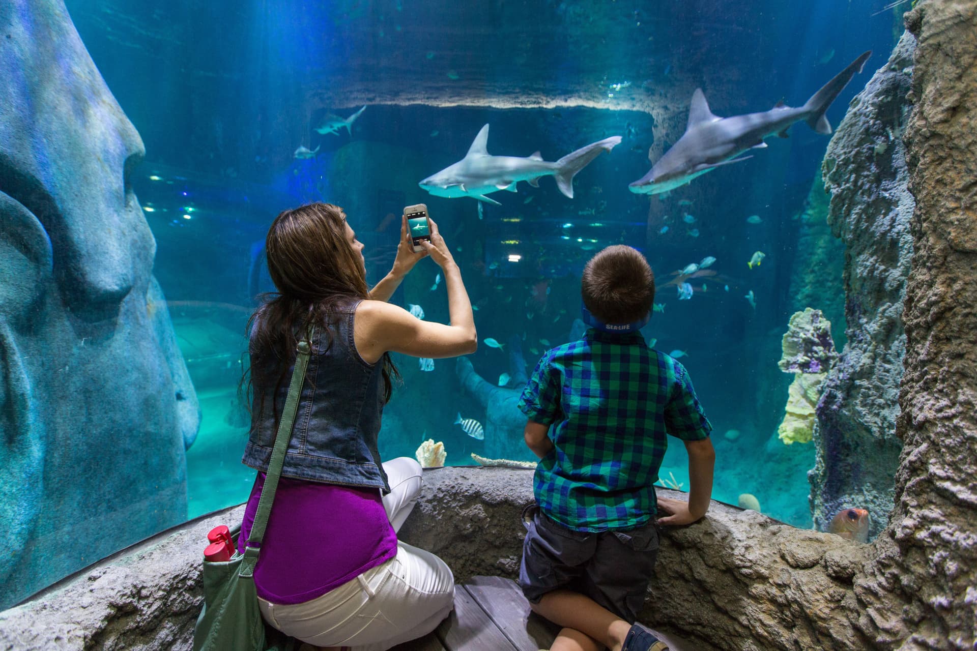 Go City Orlando Explorer Pass: Save up to 50% on Attractions - სურათი 6