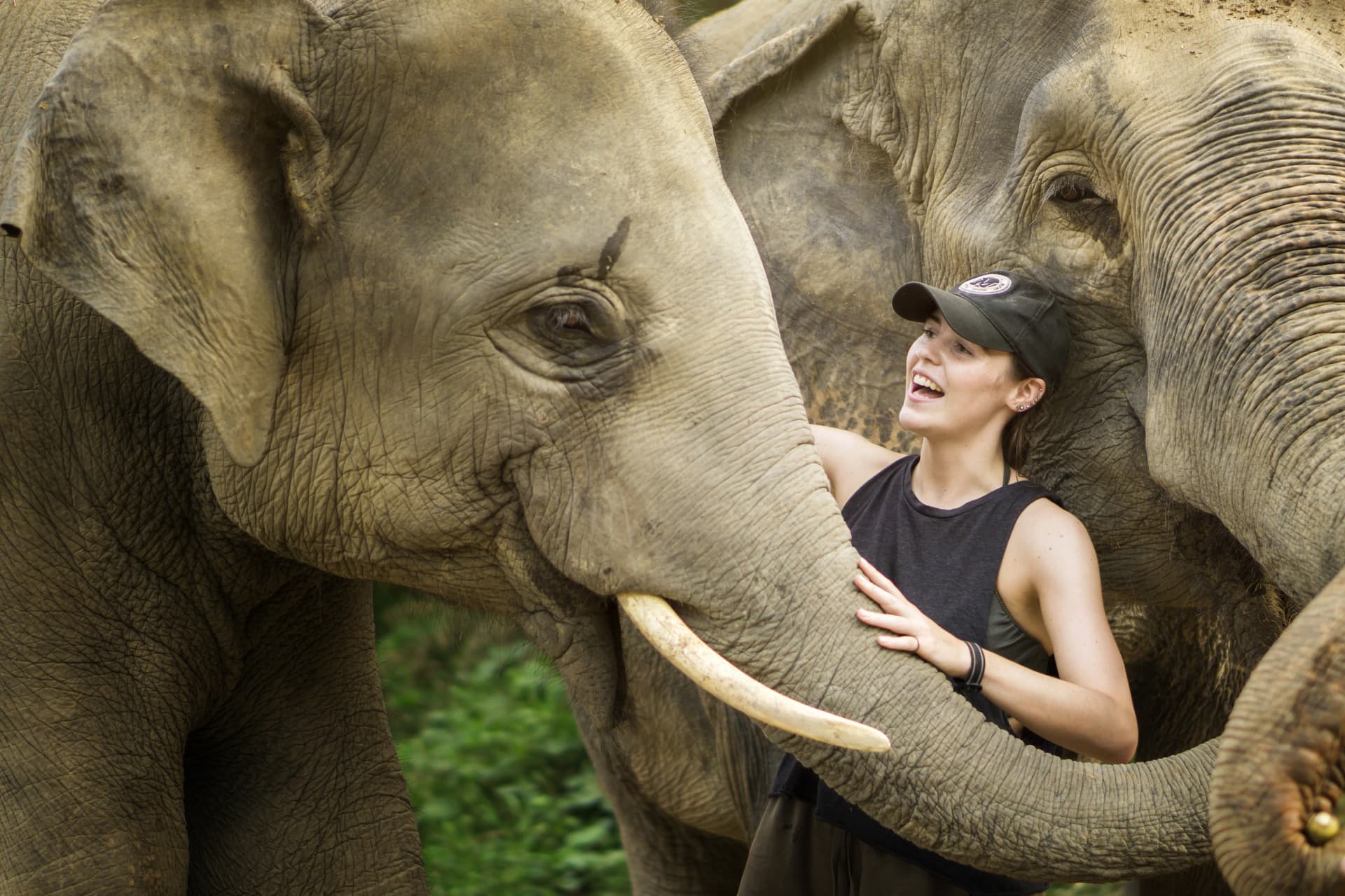 Elephant Jungle Sanctuary Pattaya - სურათი 3