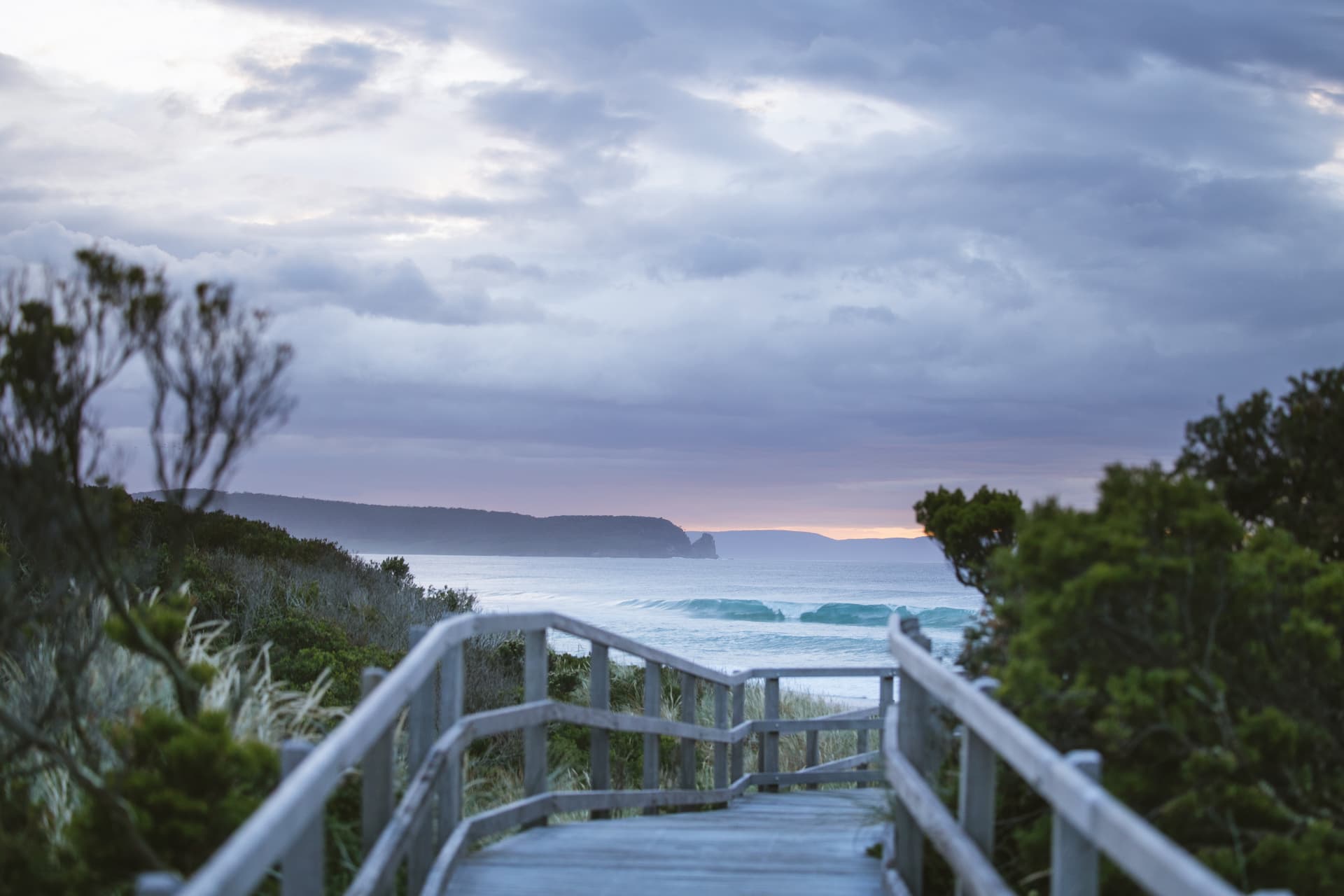Bruny Island Full-Day Tour from Hobart - სურათი 4