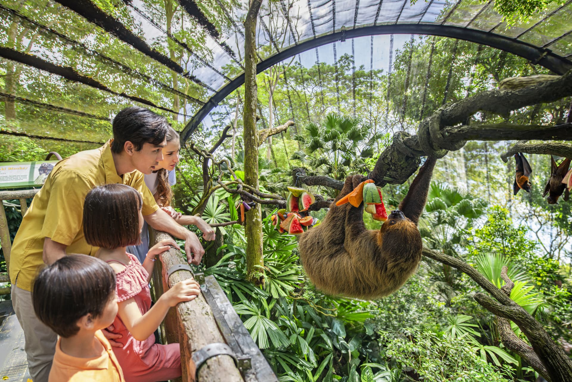 Mandai Destination Pass: Up to 2 Attractions in 1 Day - მთავარი სურათი