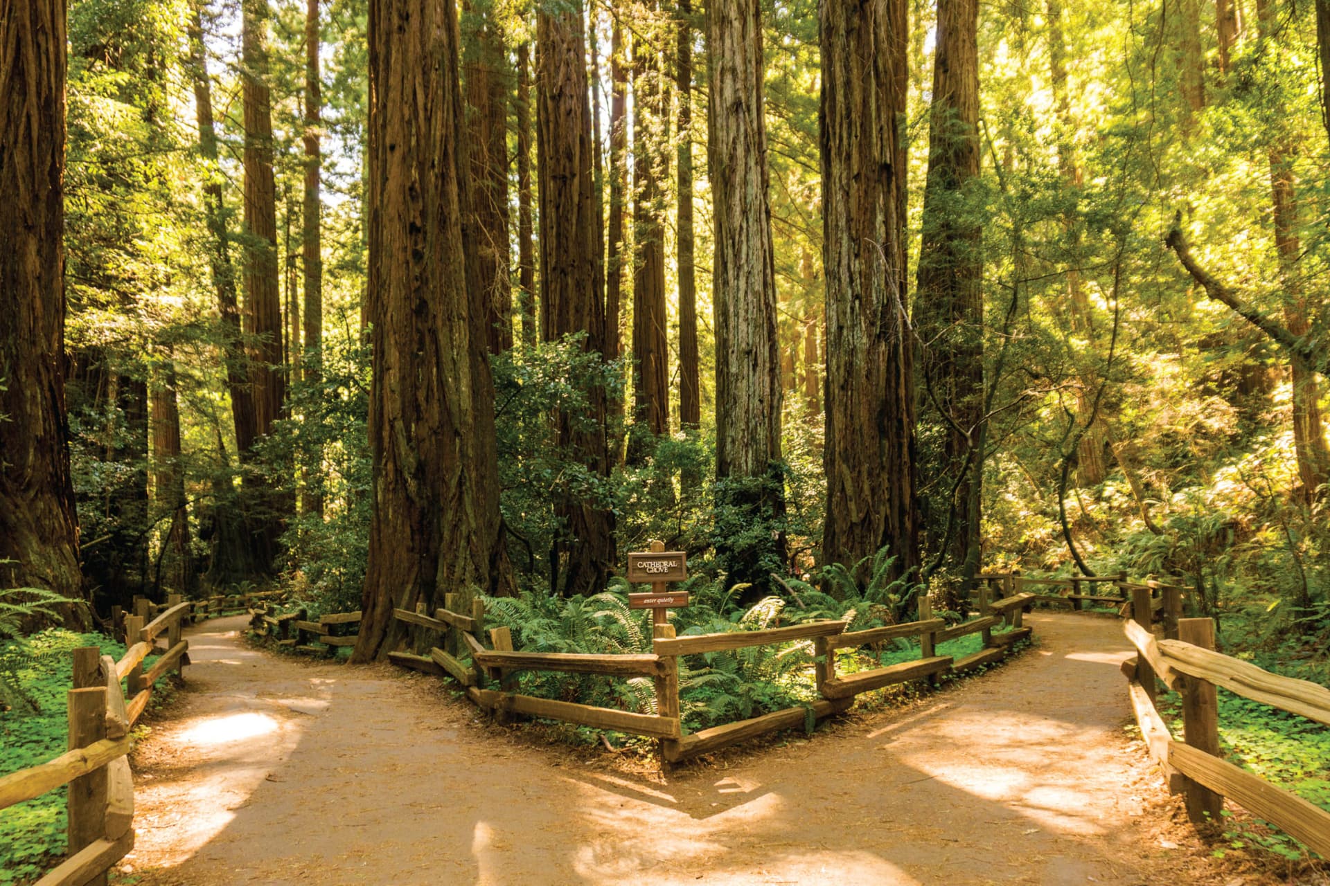 San Francisco Woods & Wine Country Full-Day Tour - სურათი 2