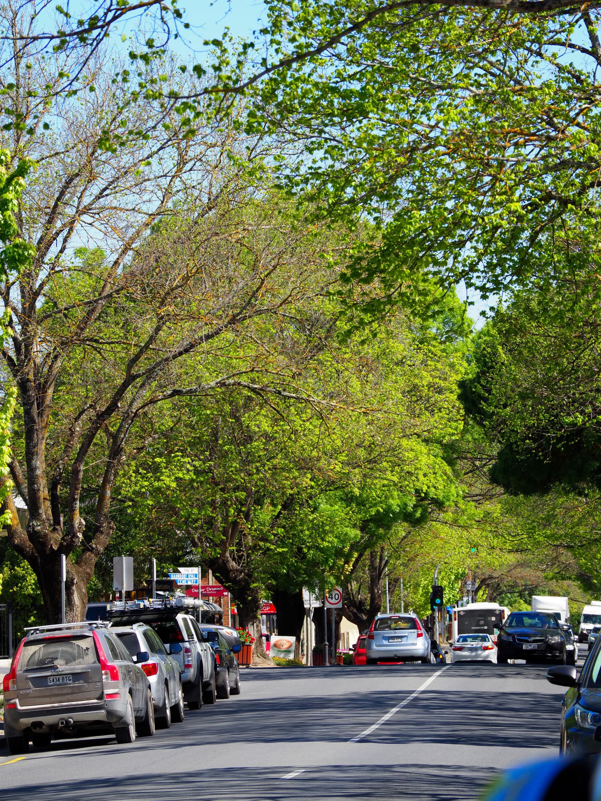 Adelaide Hills and Hahndorf Tour - სურათი 3