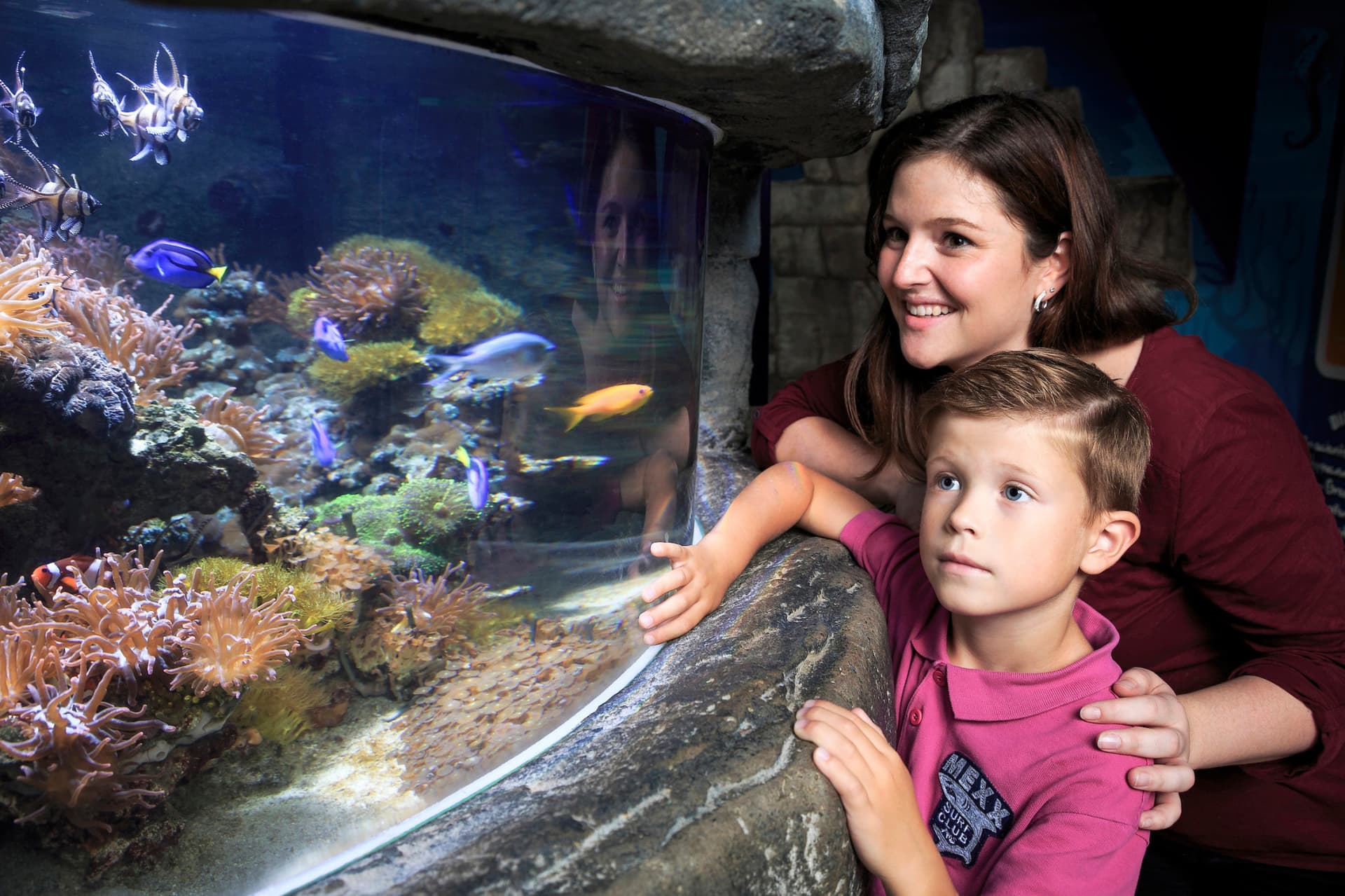 SEA LIFE Timmendorfer Strand Aquarium Ticket - სურათი 3