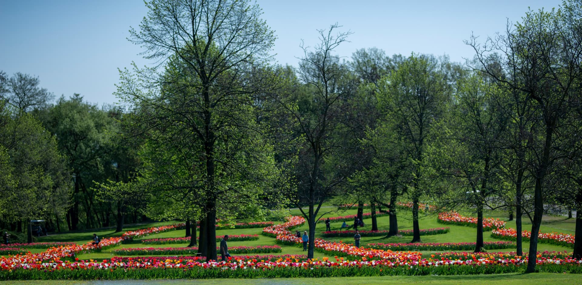 Parco Giardino Sigurtà Ticket - სურათი 14