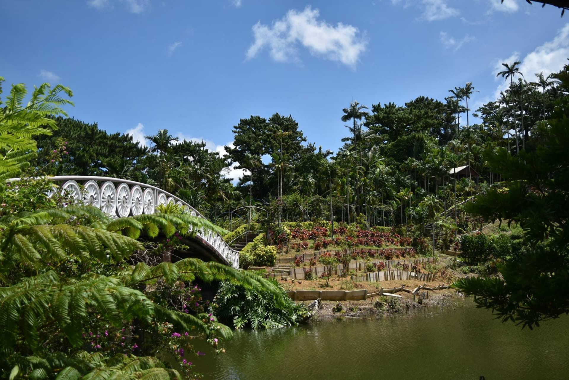 Okinawa Southeast Botanical Gardens - სურათი 37