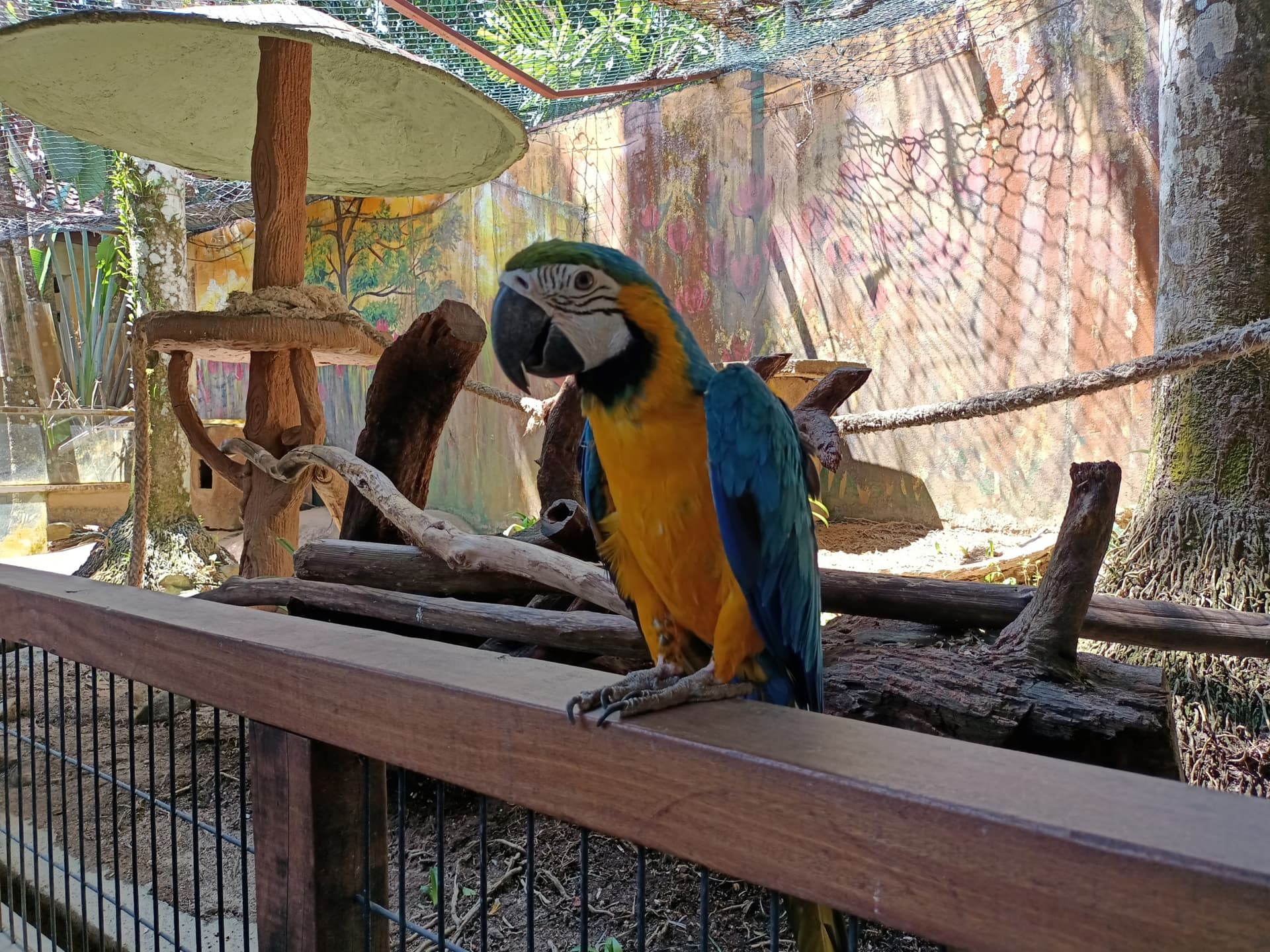 Langkawi Wildlife Park - სურათი 7