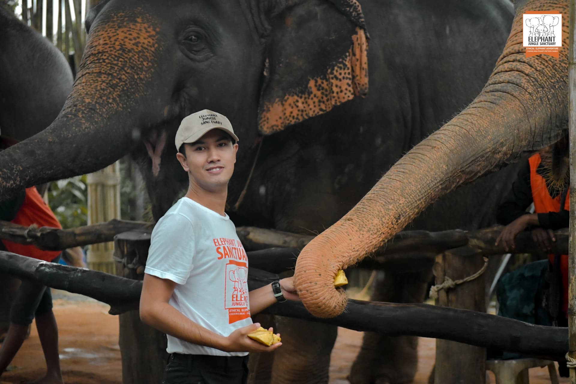 Elephant Jungle Sanctuary Phuket - სურათი 13