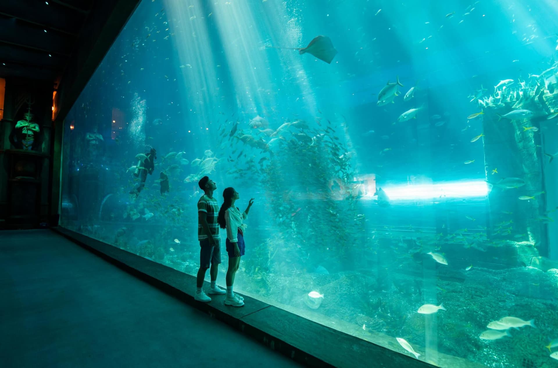 VinWonders Phu Quoc Amusement Park Ticket - სურათი 14