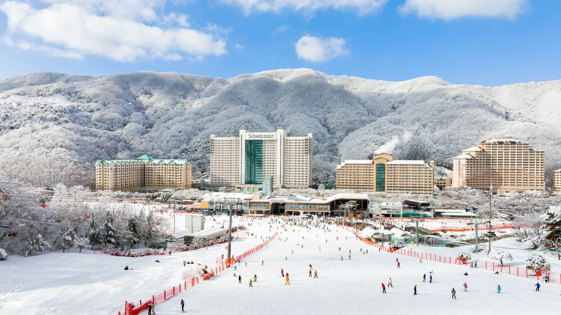Vivaldi Park Winter Ski and Eobi Ice Valley Day Tour from Seoul - სურათი 4
