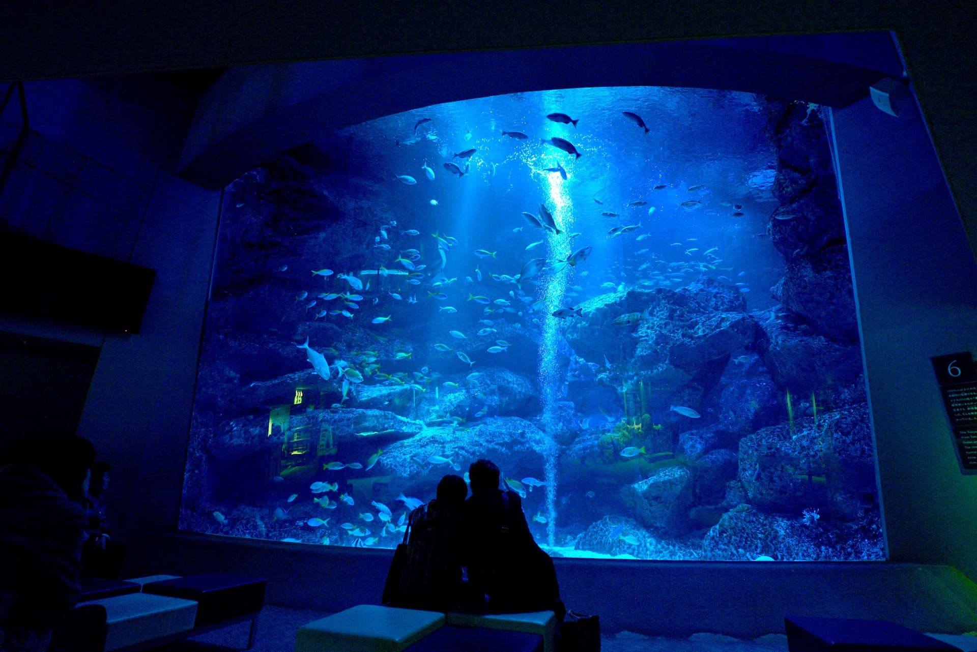 Sumida Aquarium Ticket - სურათი 6