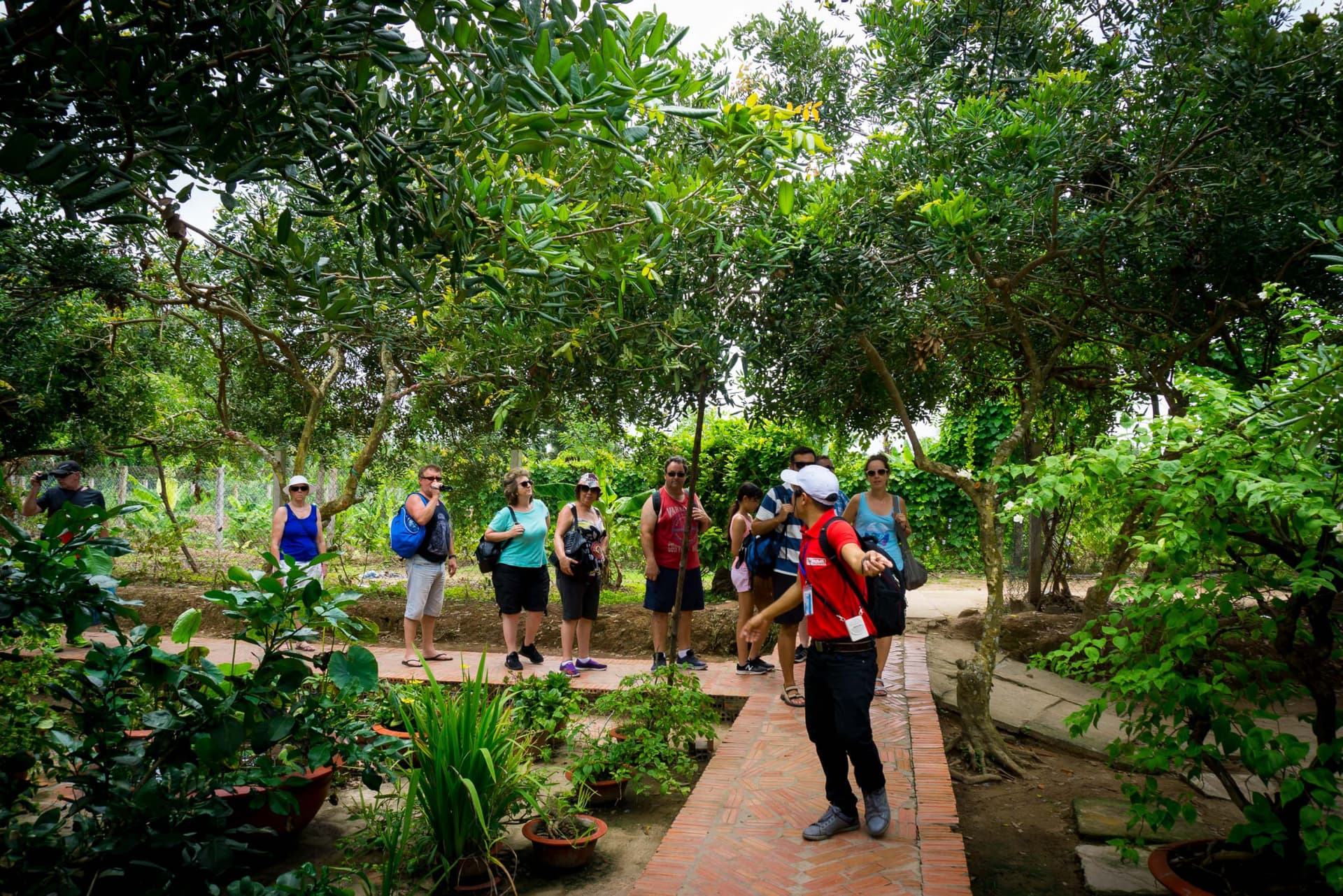 Mekong Delta Full-Day Tour from Ho Chi Minh City - სურათი 6