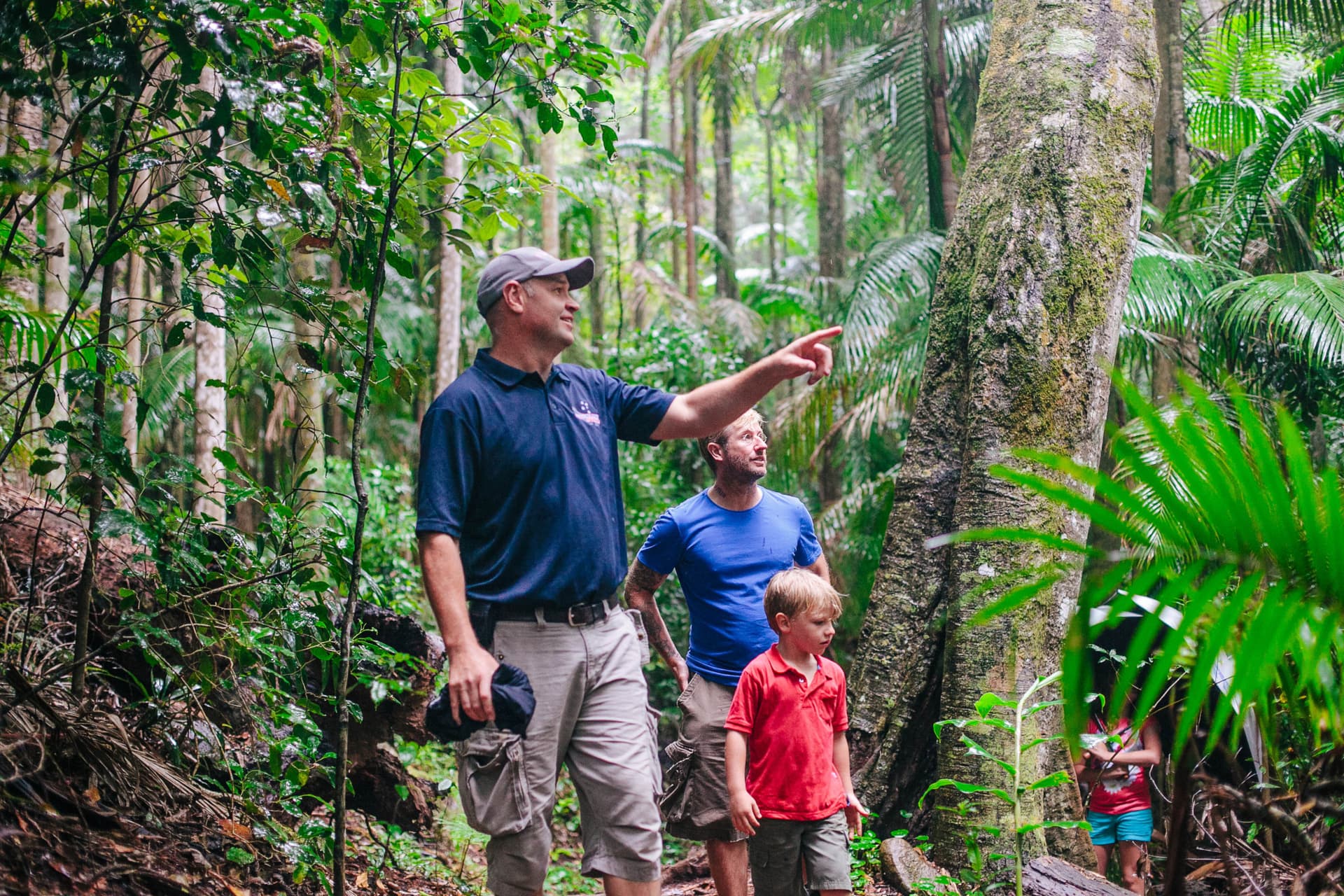 Tamborine Mountain Guided Walk and Wine Tasting Tour - სურათი 2