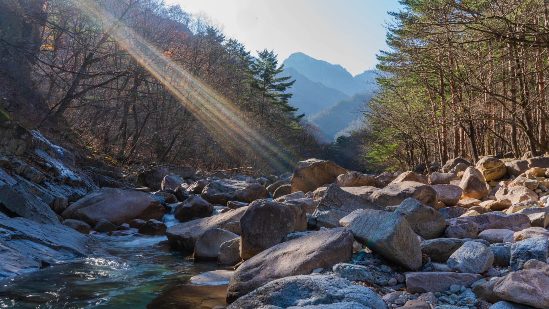 Mount Seorak and Naksansa Temple Tour from Seoul - სურათი 2