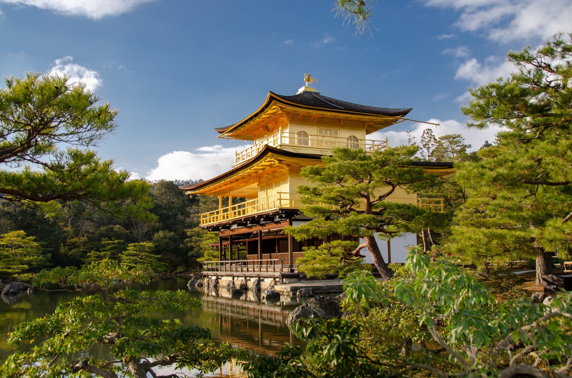 Kyoto and Nara Full-Day Tour from Kyoto - სურათი 2