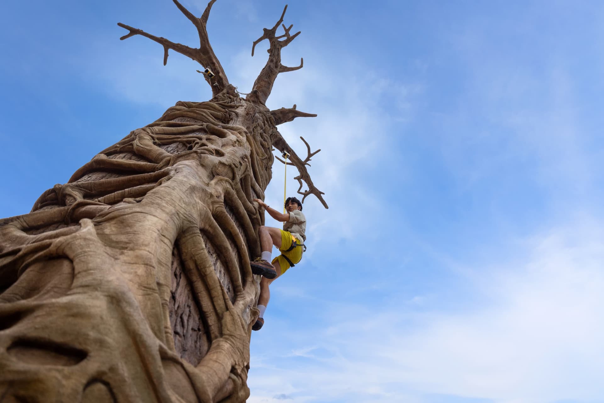 Rainforest Wild Adventure Ticket - სურათი 8