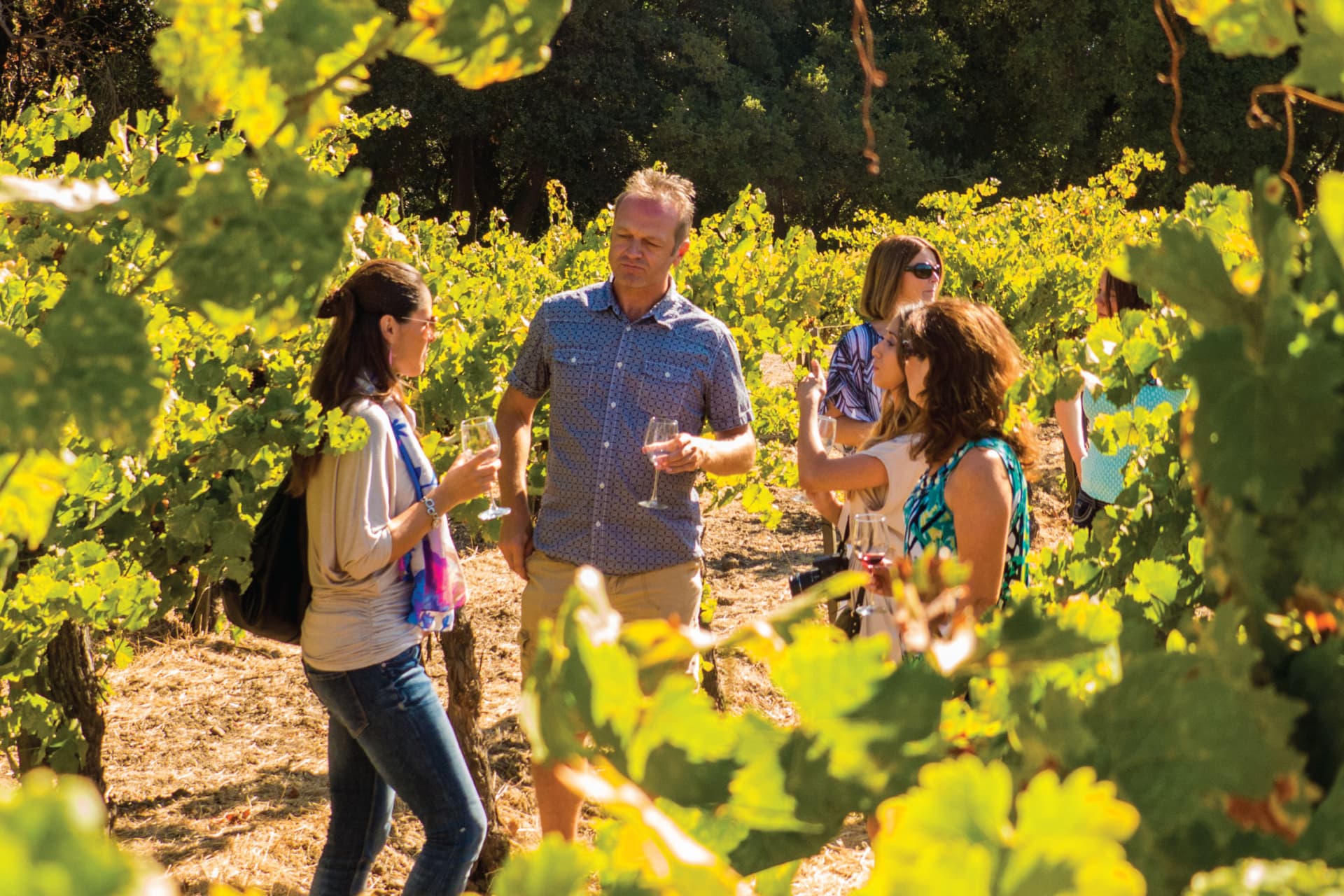 San Francisco Woods & Wine Country Full-Day Tour - სურათი 3