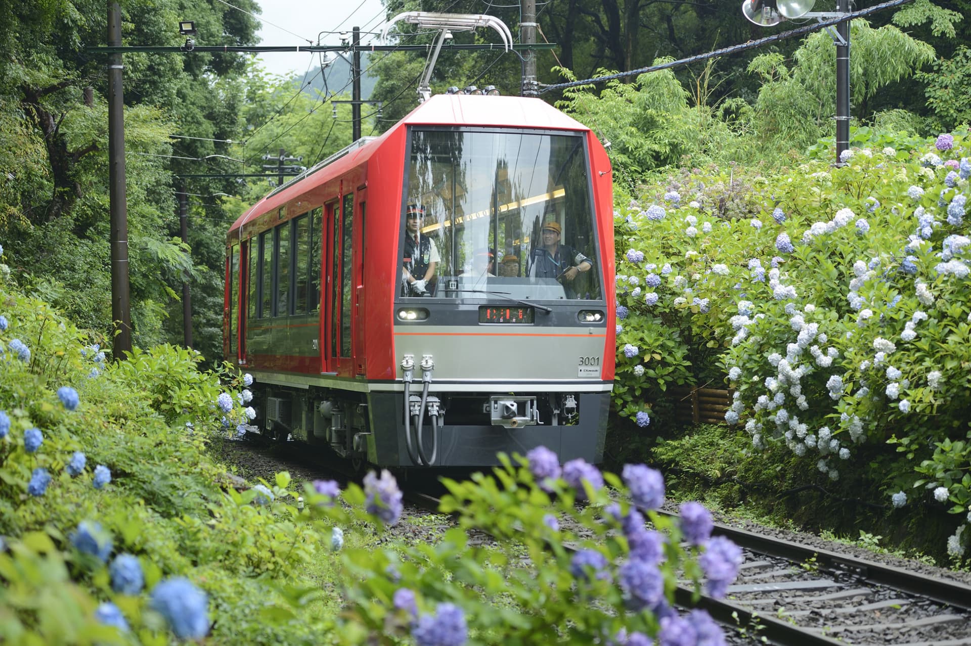 Fuji Hakone Pass - სურათი 2