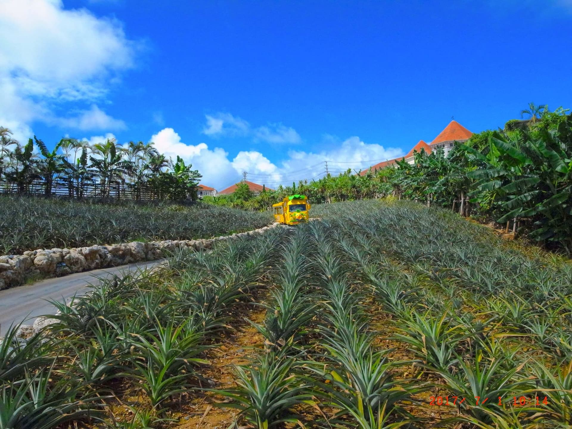 Okinawa Nago Pineapple Park - სურათი 4