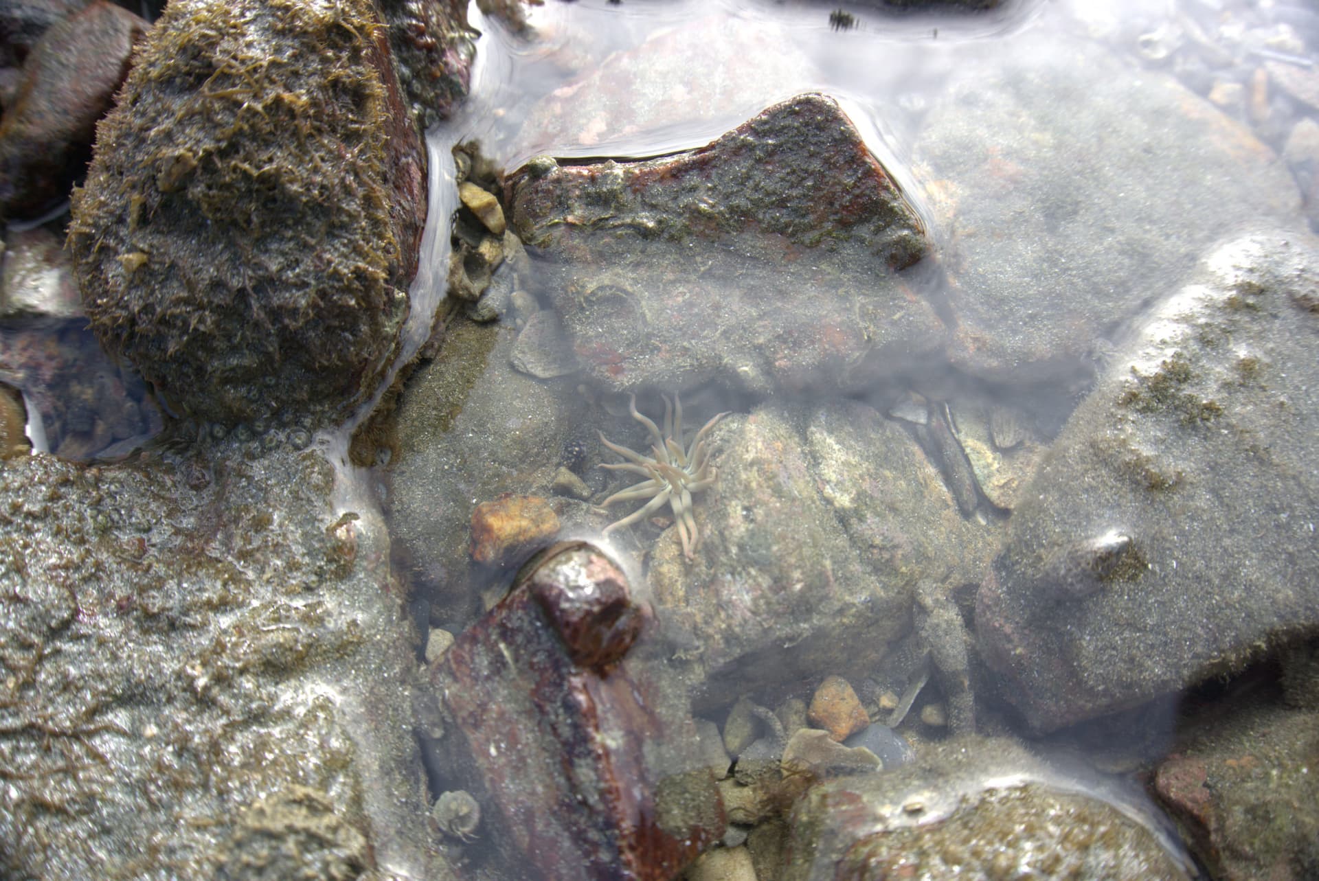 Desaru Beach and Tide Pool Walk - სურათი 33