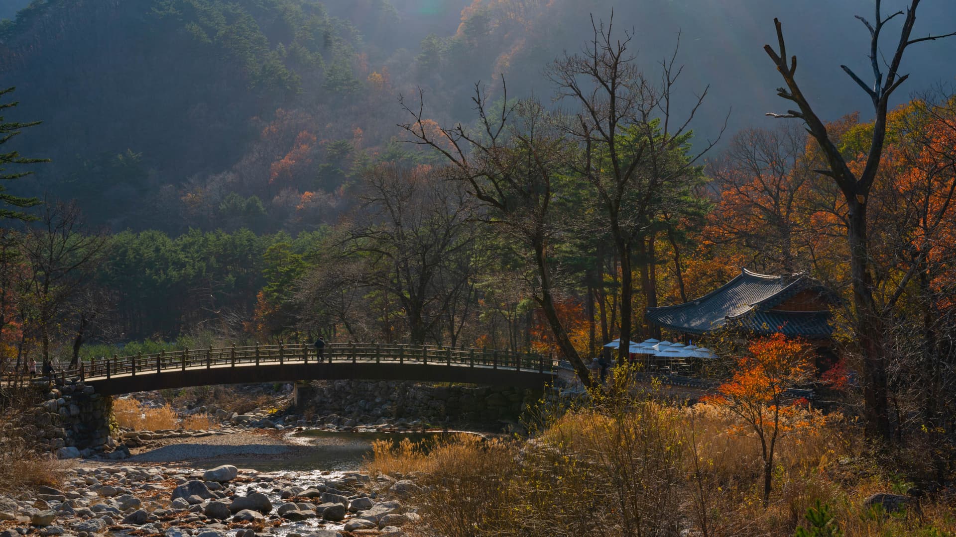 Mount Seorak and Naksansa Temple Tour from Seoul - მთავარი სურათი