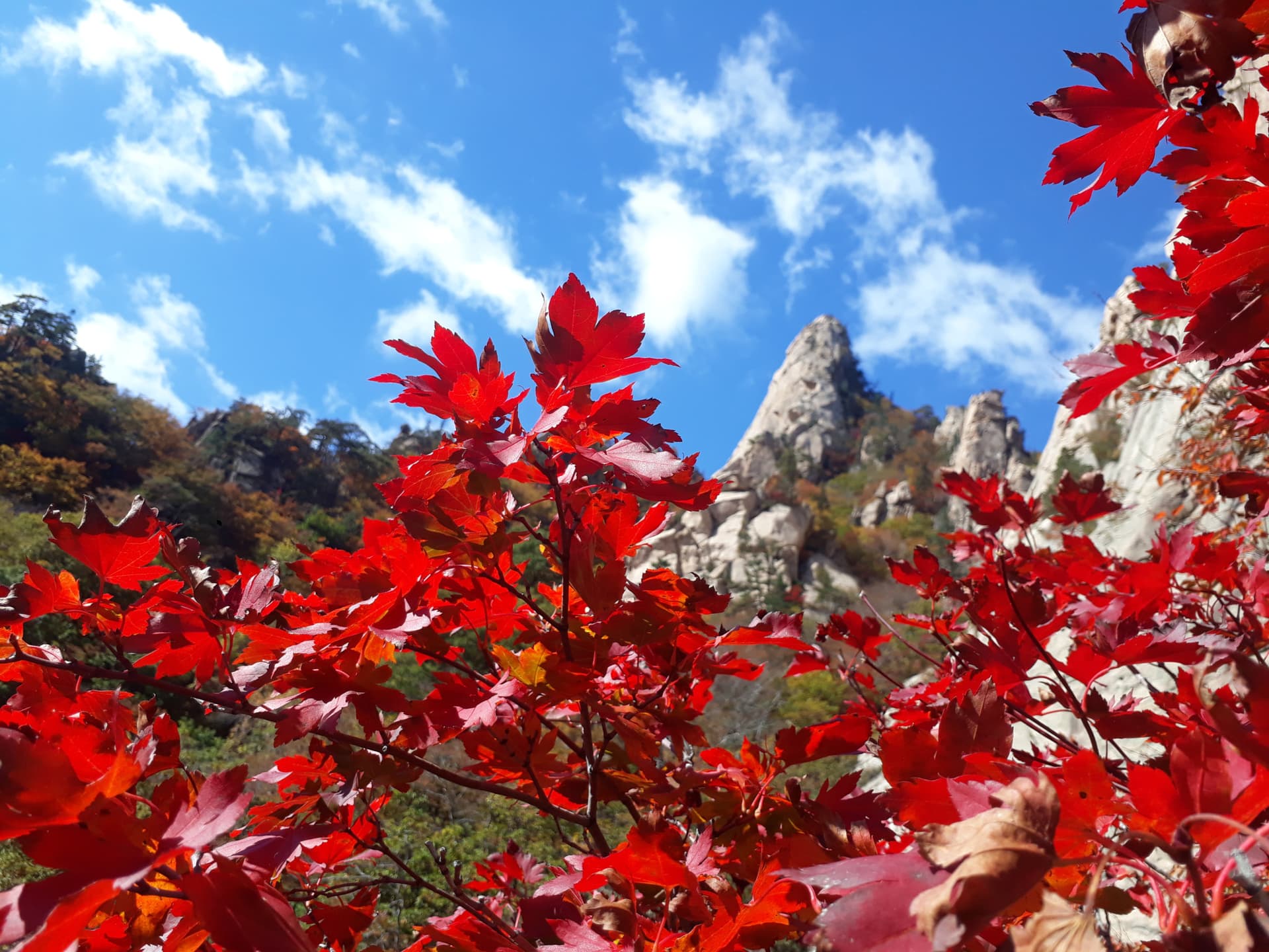 Nami Island and Mount Seorak Full-Day Tour from Seoul - სურათი 4