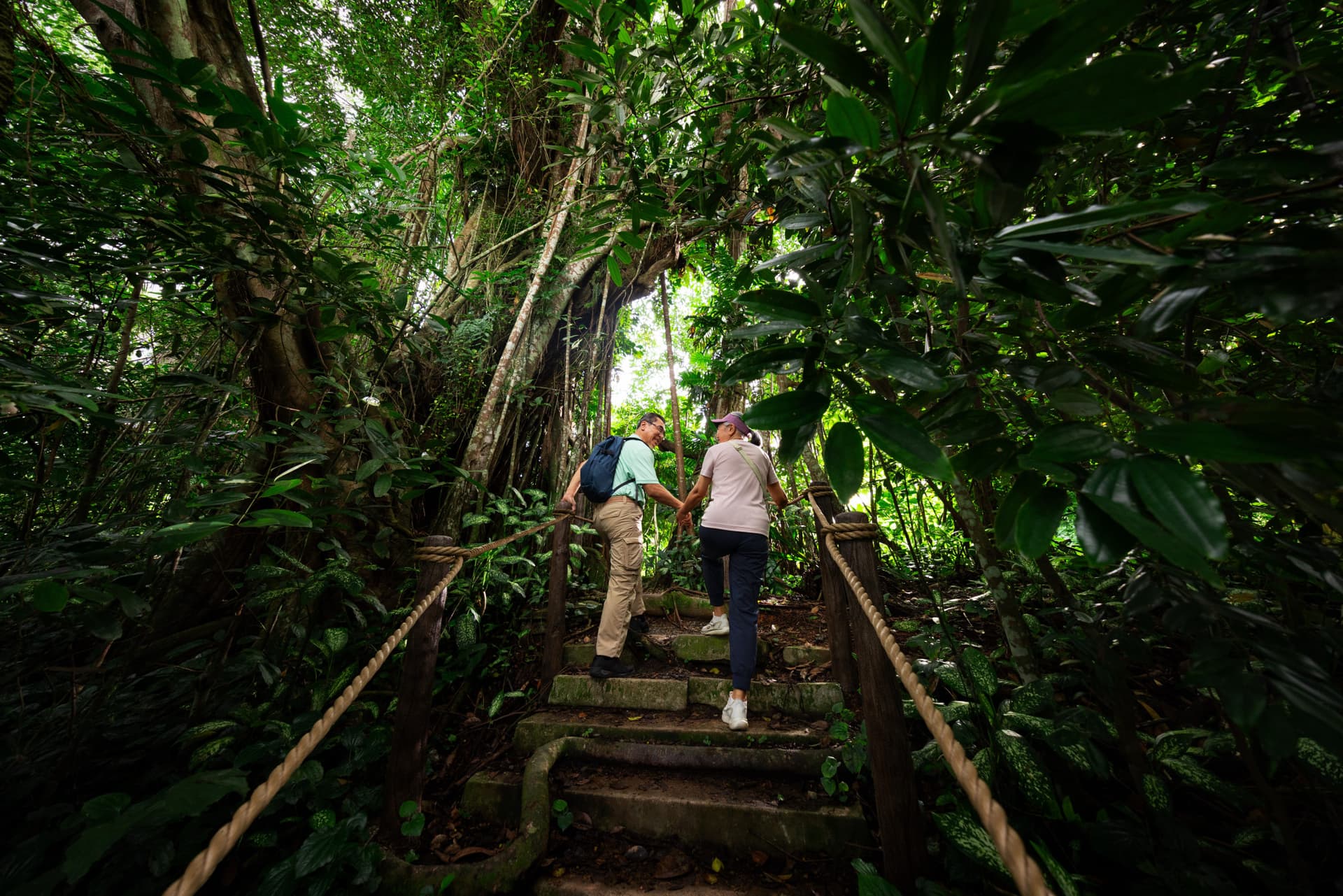 5-in-1 Day Pass: Night Safari + Singapore Zoo + Bird Paradise + River Wonders + Rainforest Adventure - სურათი 10