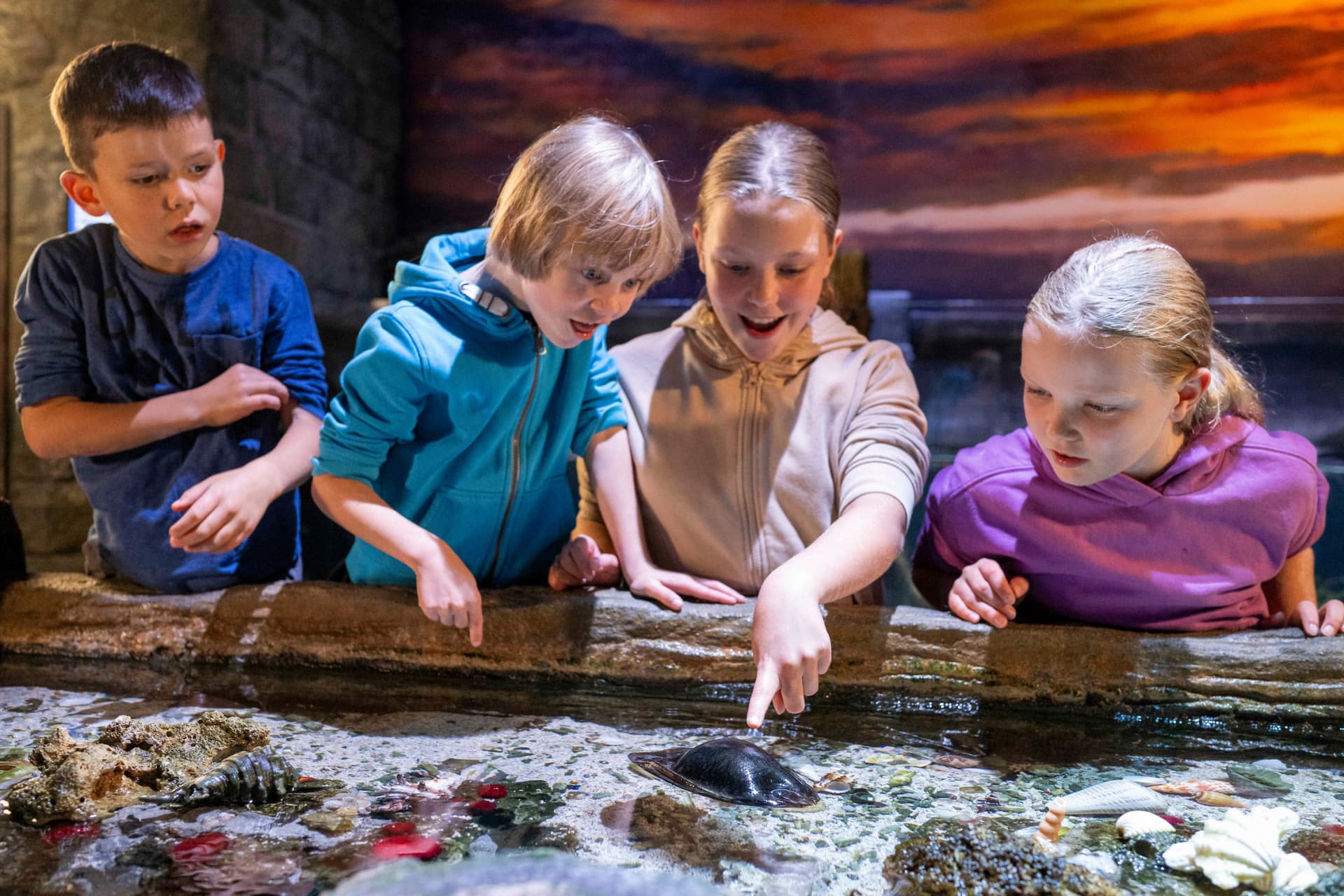 SEA LIFE Munich Aquarium Ticket - მთავარი სურათი