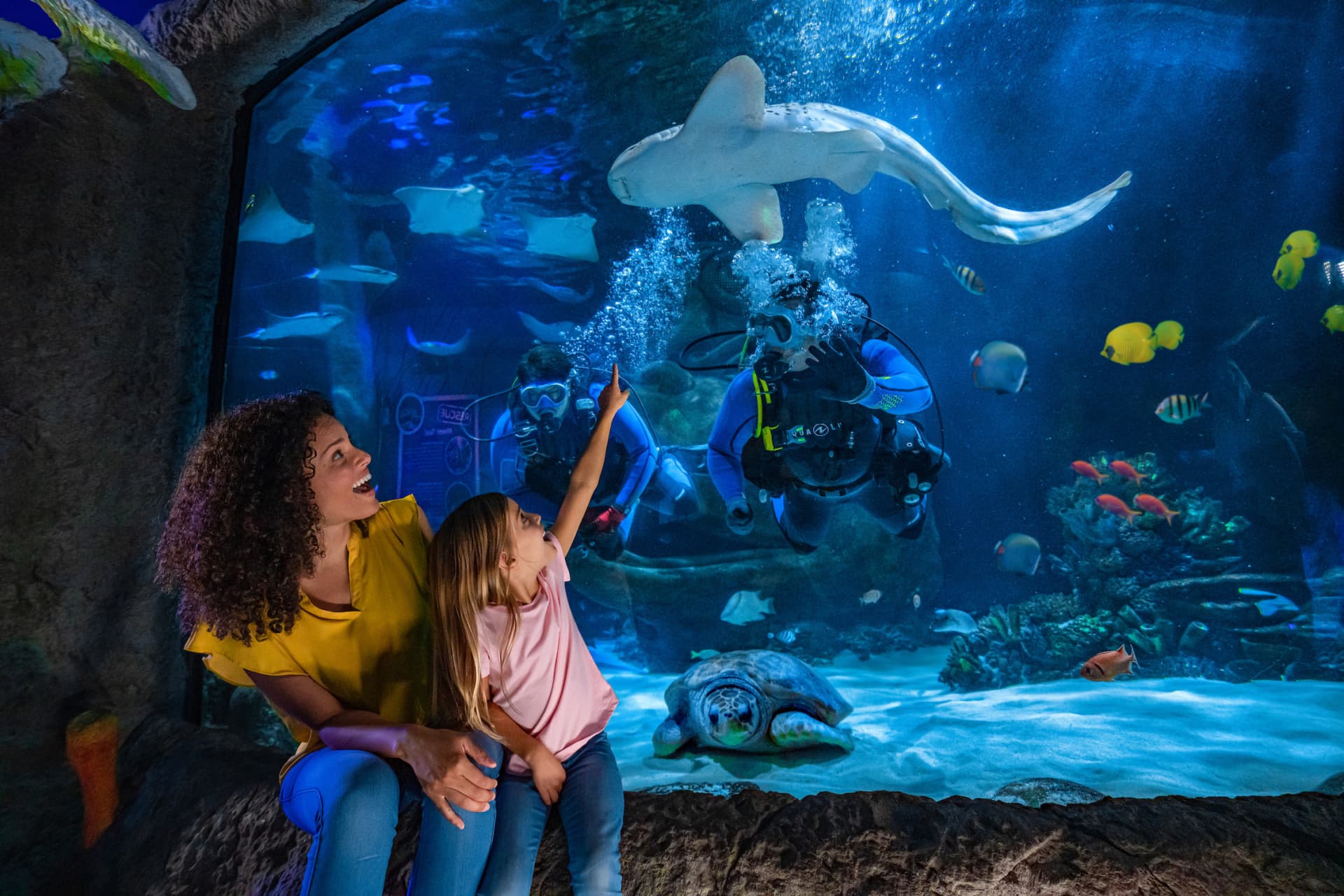 COMBO: Madame Tussauds Orlando + SEA LIFE Orlando Aquarium Ticket - სურათი 13
