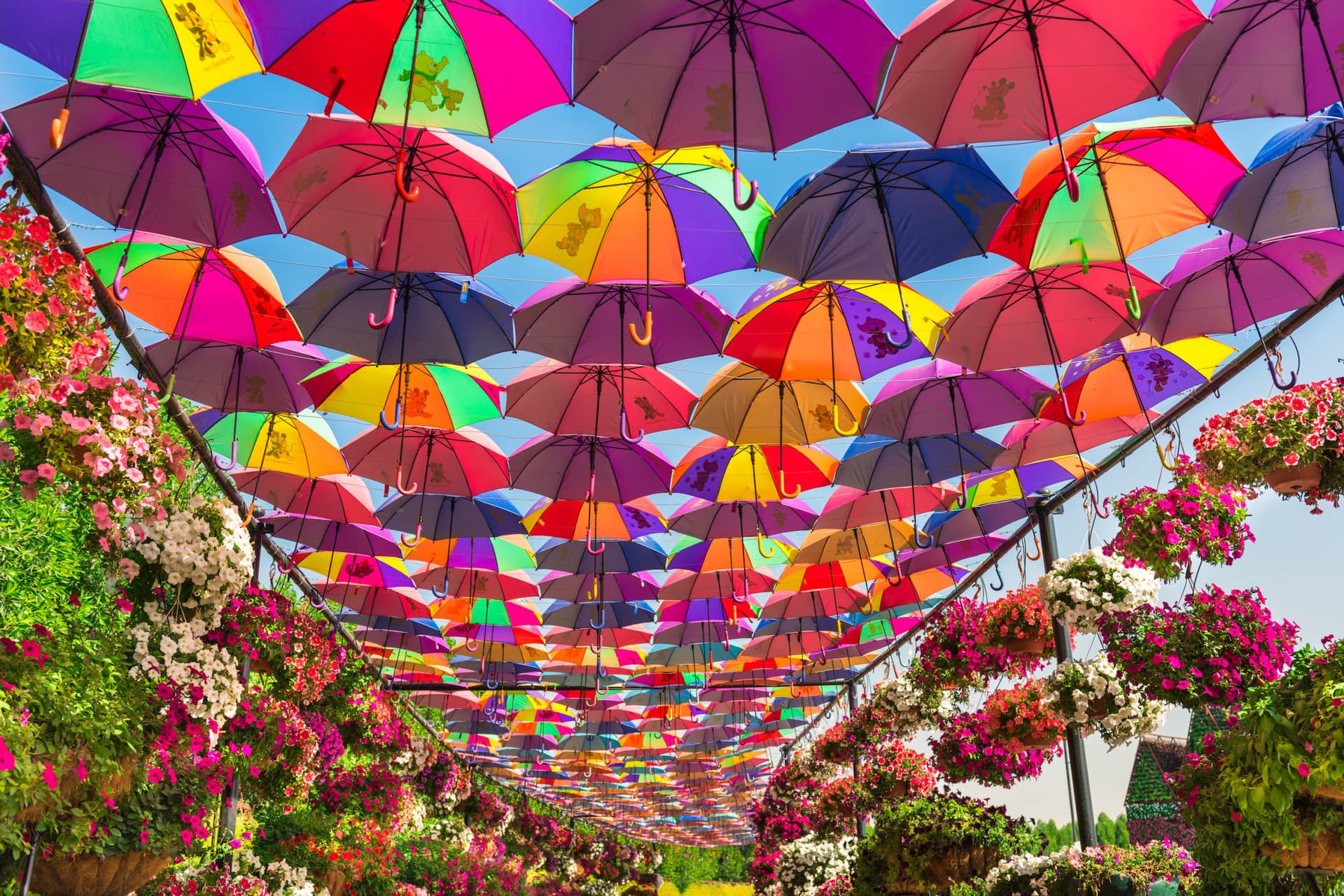 COMBO: Dubai Miracle Garden + Dubai Butterfly Garden Tickets - სურათი 3