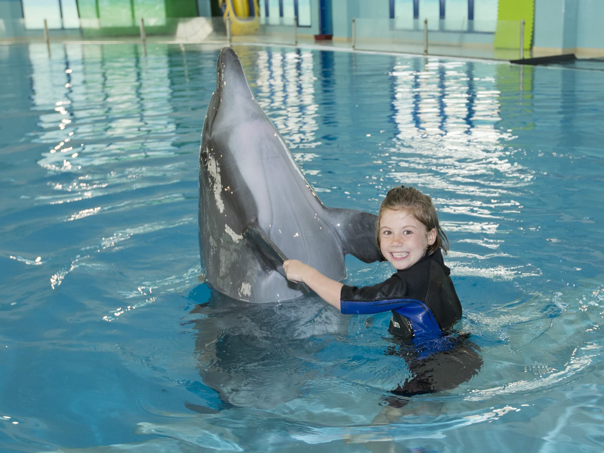 Dubai Dolphinarium Ticket - სურათი 14