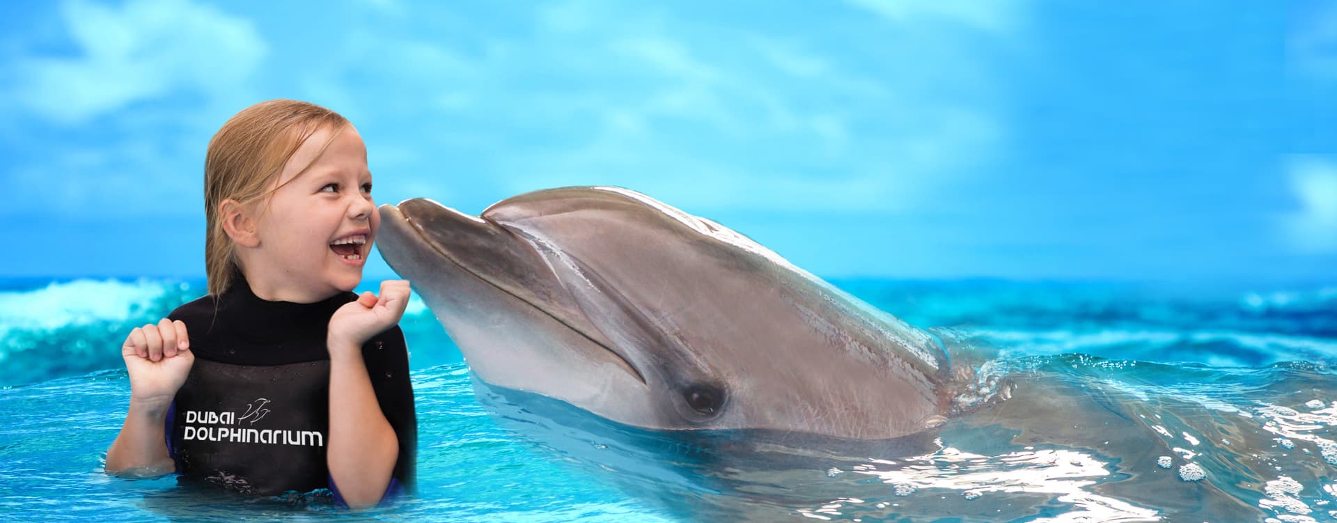 Dubai Dolphinarium Ticket - სურათი 11