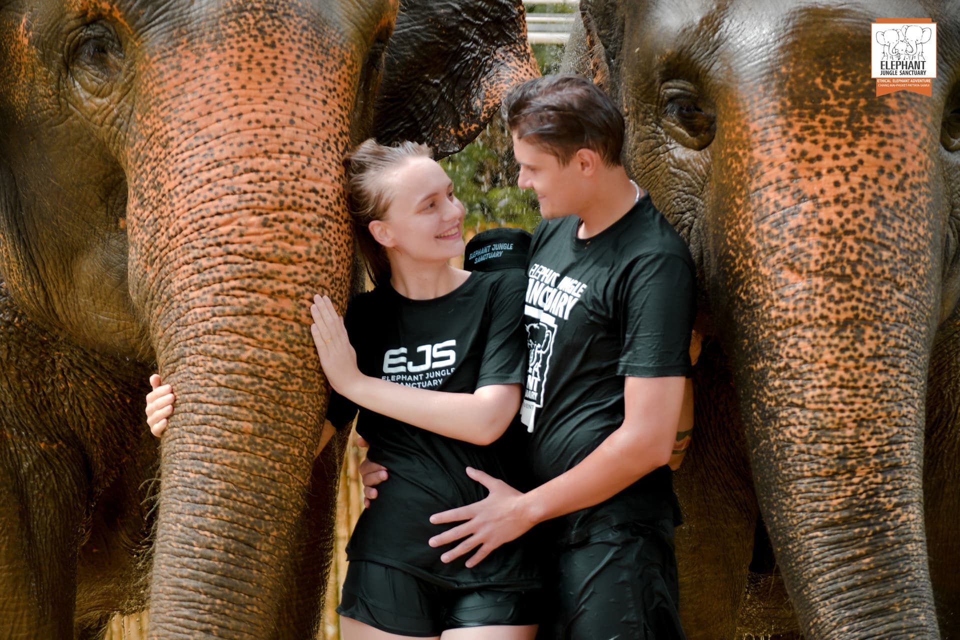 Elephant Jungle Sanctuary Phuket - სურათი 21