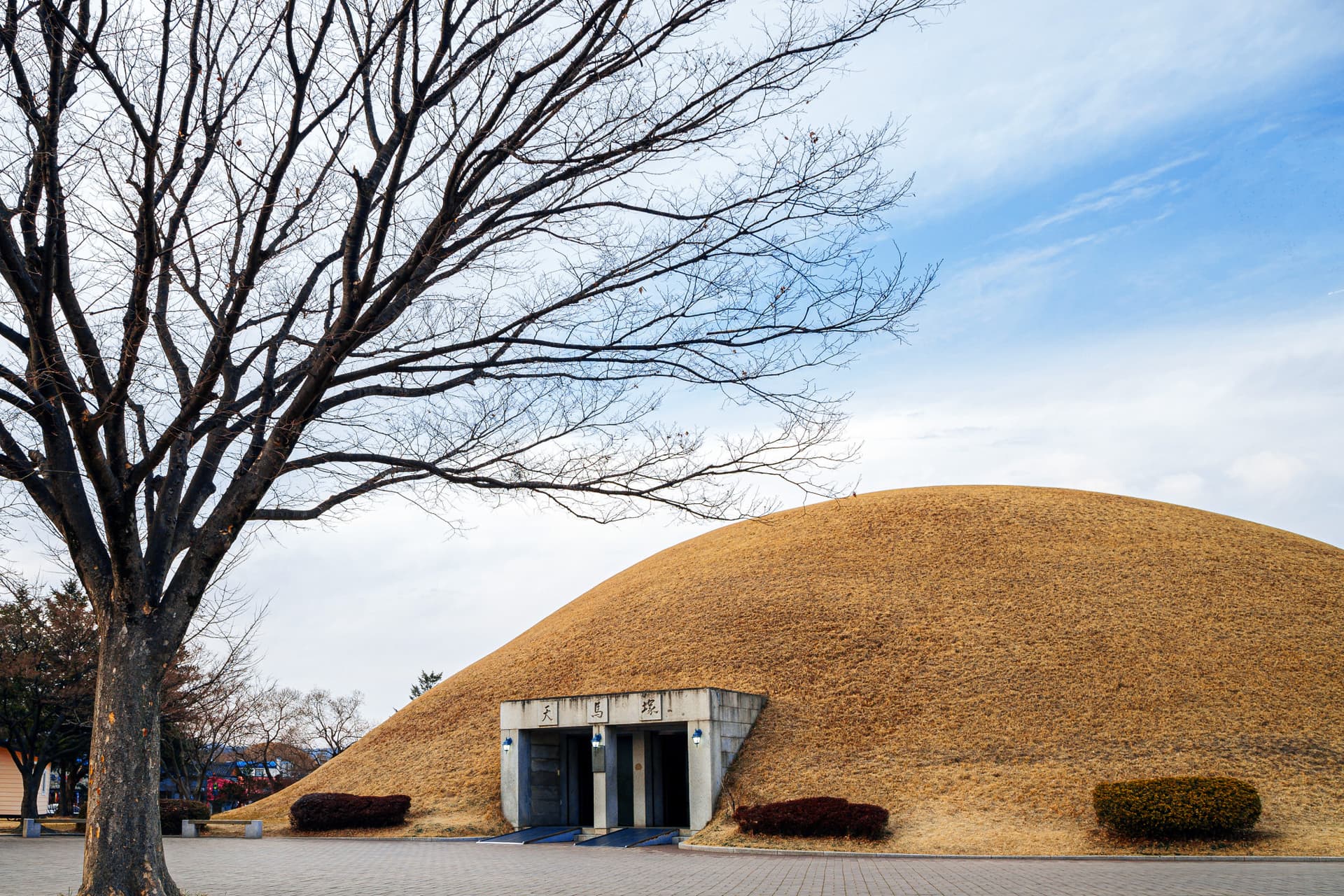 Gyeongju Silla Heritage Full-Day Tour with Seokguram Grotto from Busan - სურათი 5