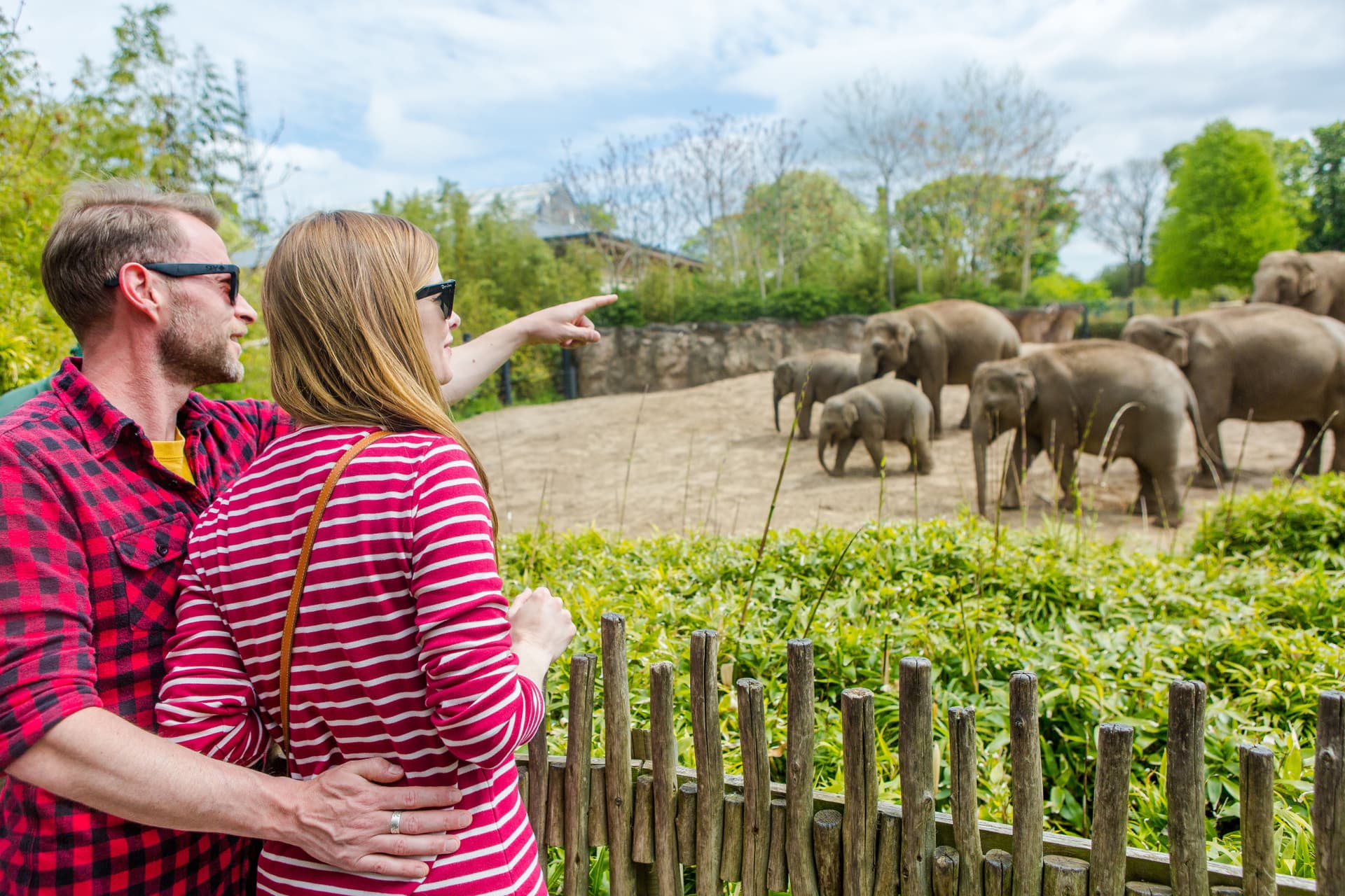 Go City Dublin Essentials Pass: 3 Attractions - სურათი 8