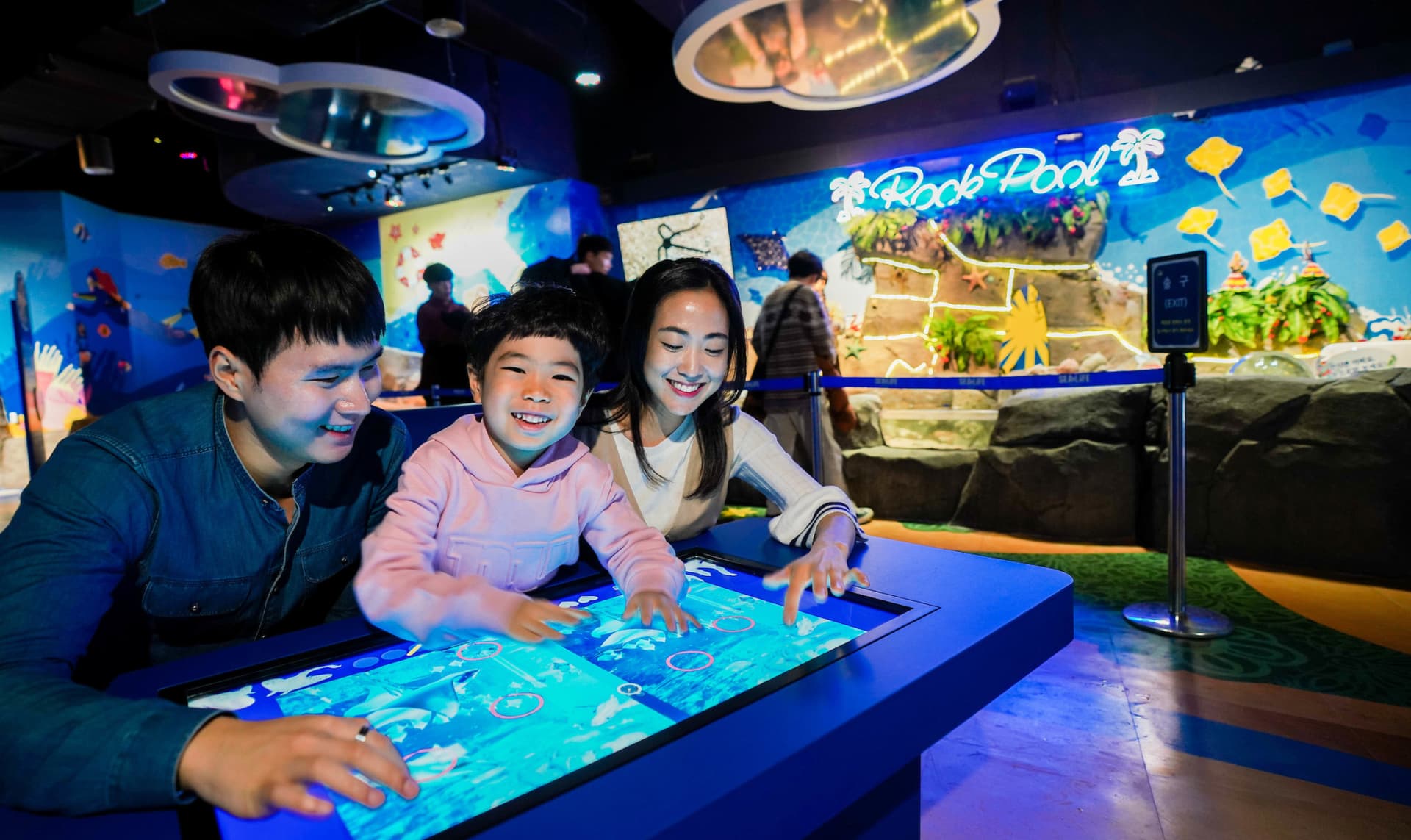 SEA LIFE Busan Aquarium Ticket - სურათი 2